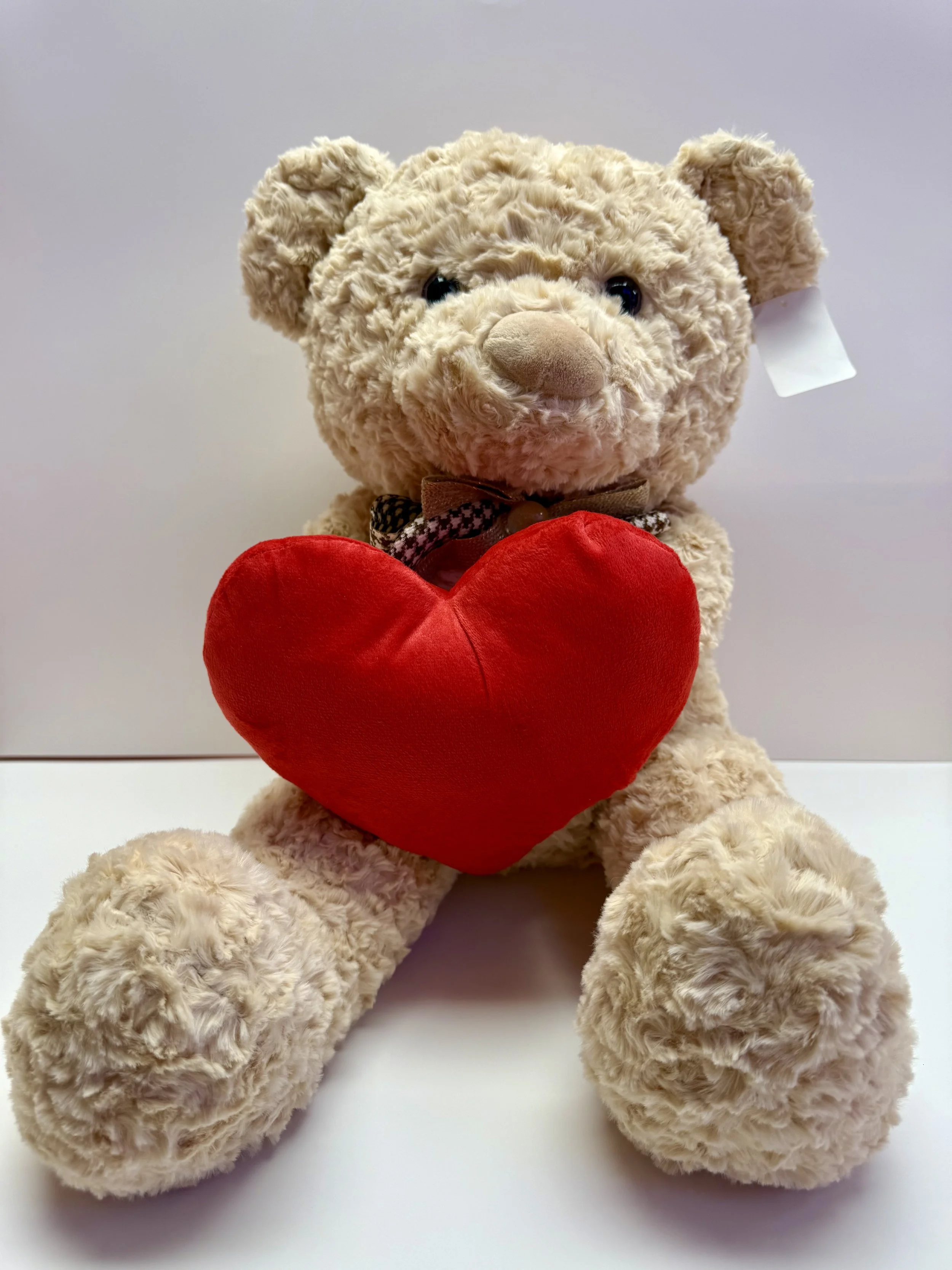 Fuzzy Teddy Bear with Heart