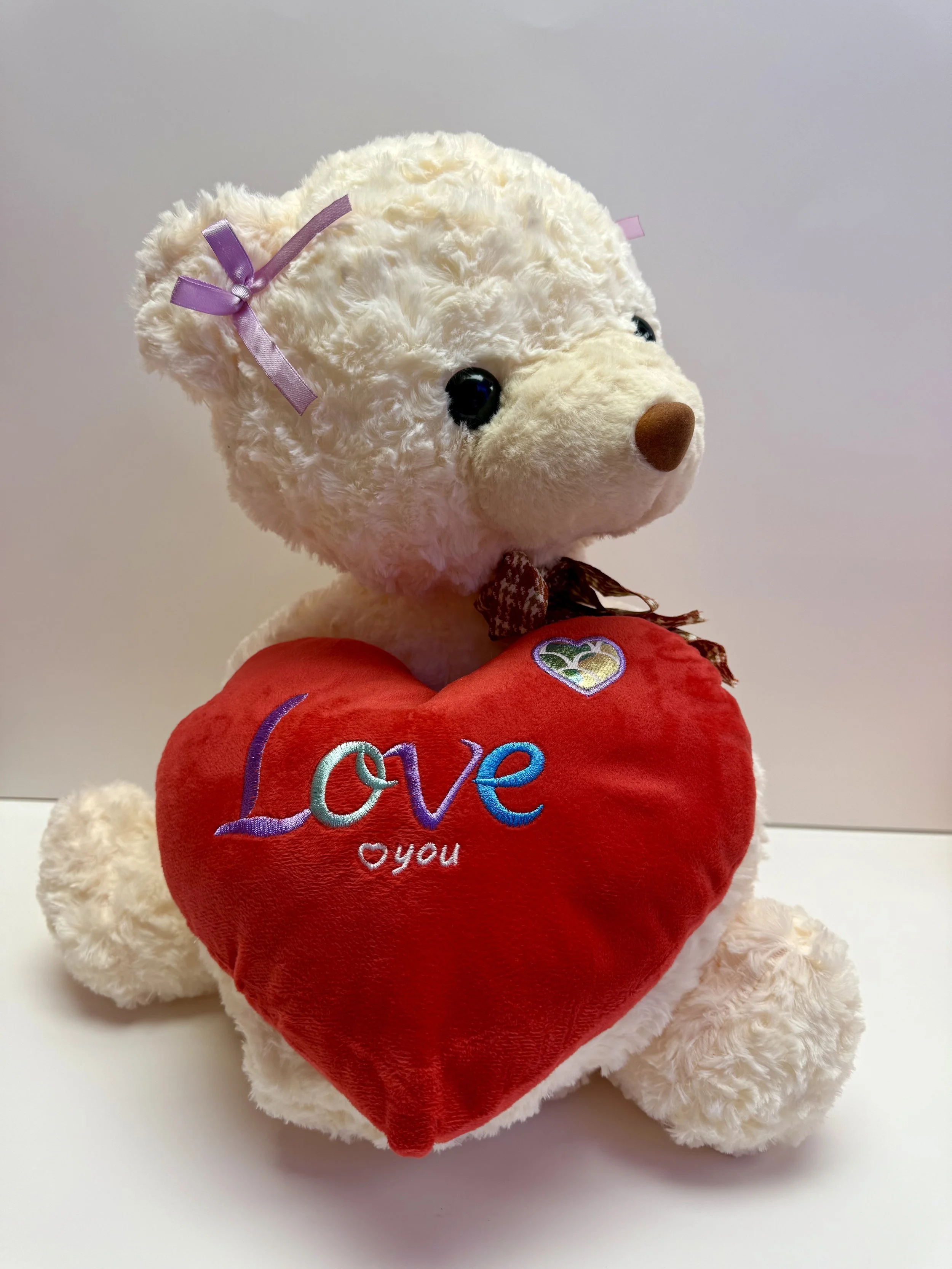 Teddy Bear w/ Big Red Heart