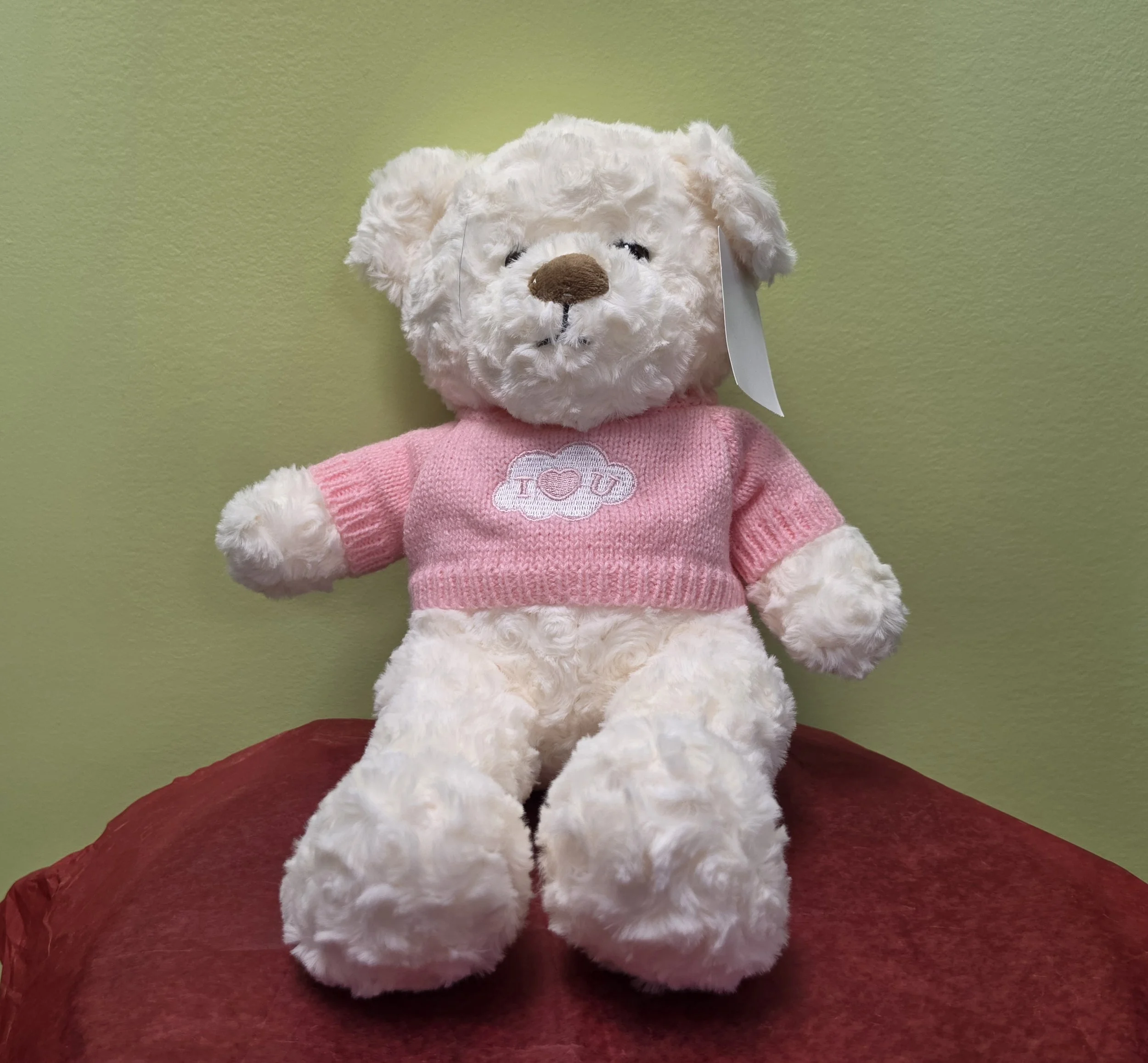 Teddy Bear in Pink