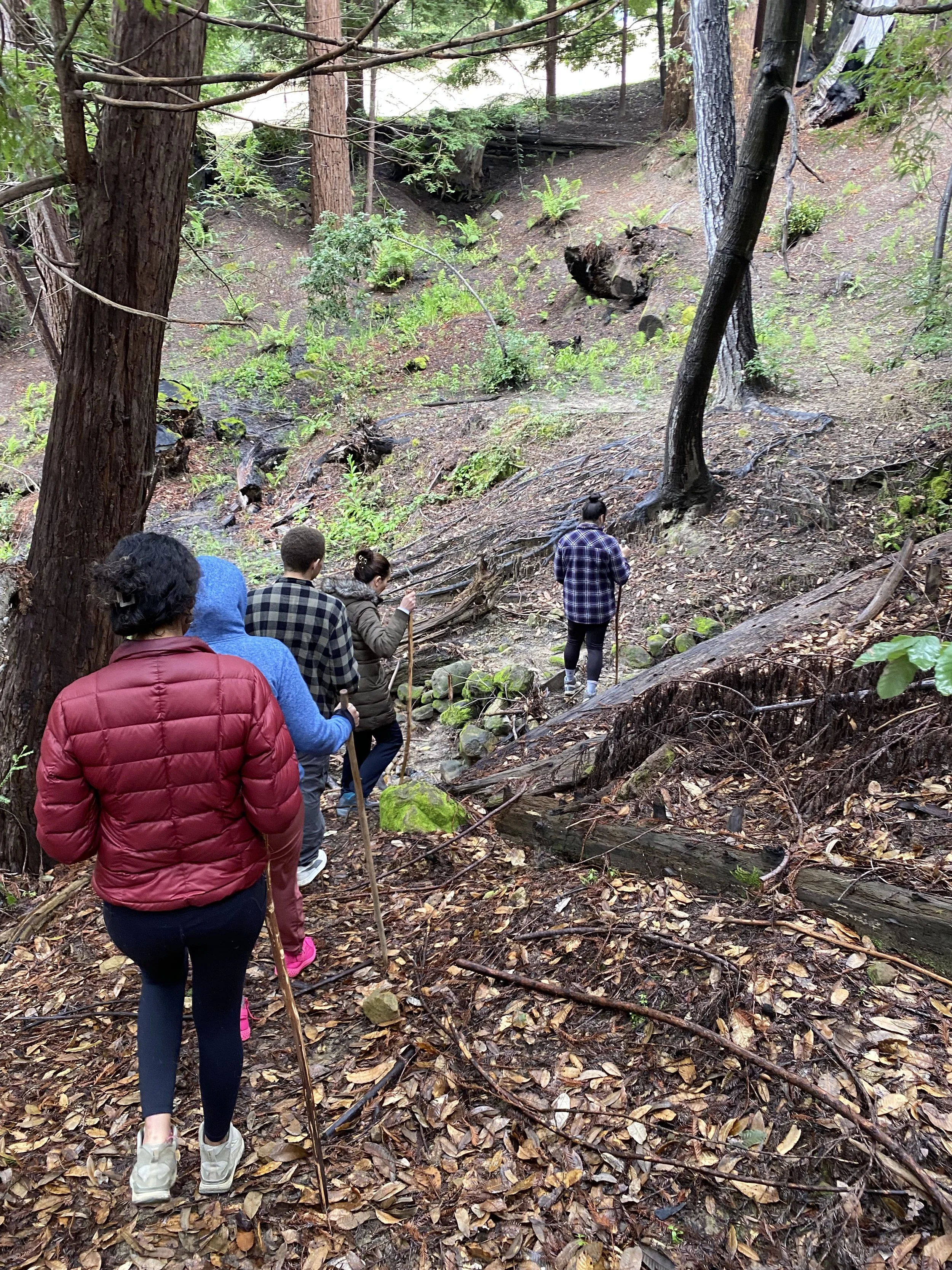 Group of people hiking down a forest trail with trees and fallen leaves.