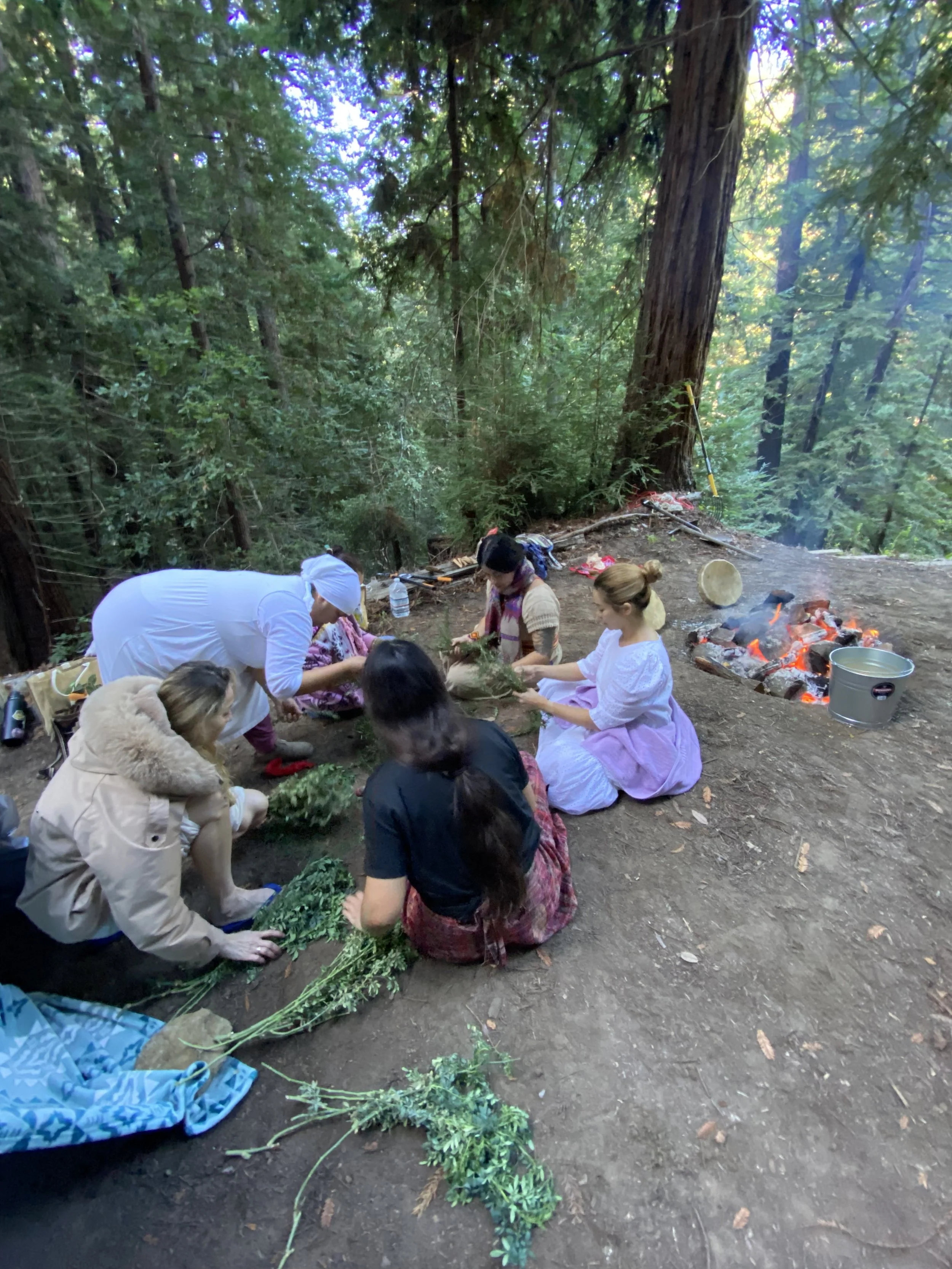 Group of women dressed in historical clothing sitting and kneeling around a forest campfire, preparing forage plants in a wooded area.