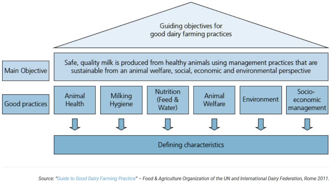 Flowchart illustrating guiding objectives for good dairy farming practices, emphasizing safe, quality milk from sustainable management practices, with sections on main objective, good practices like animal health, milking hygiene, nutrition, animal welfare, environment, socio-economic management, and their defining characteristics.