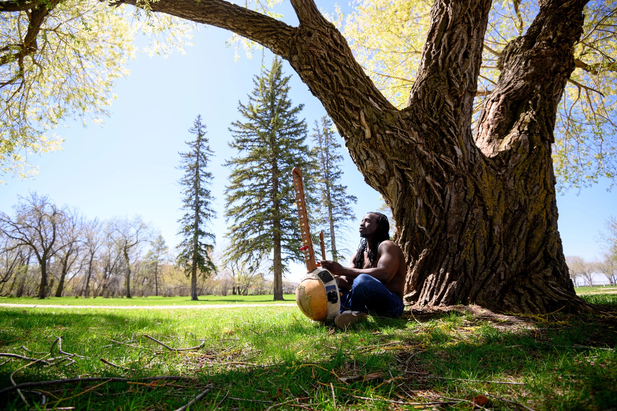 A man with long dreadlocks sitting against a large tree, playing a sitar in a park with green grass and tall trees under a clear blue sky.
