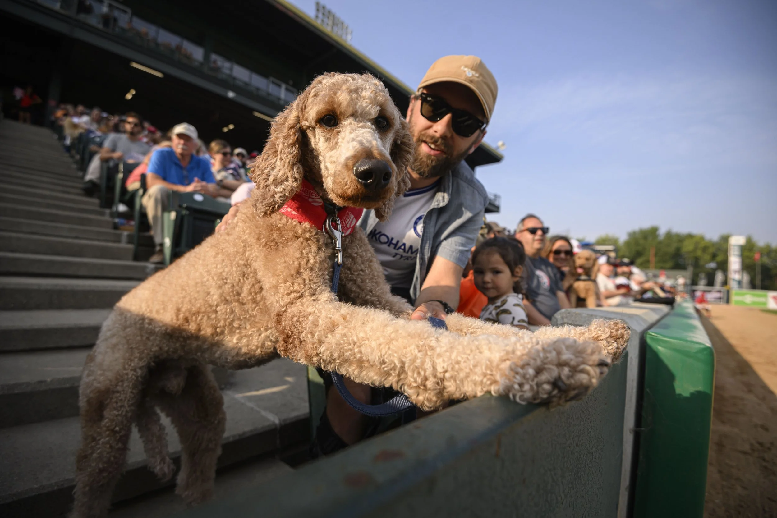 DogsatGoldeyes_MikeSudoma_August17-4.jpg
