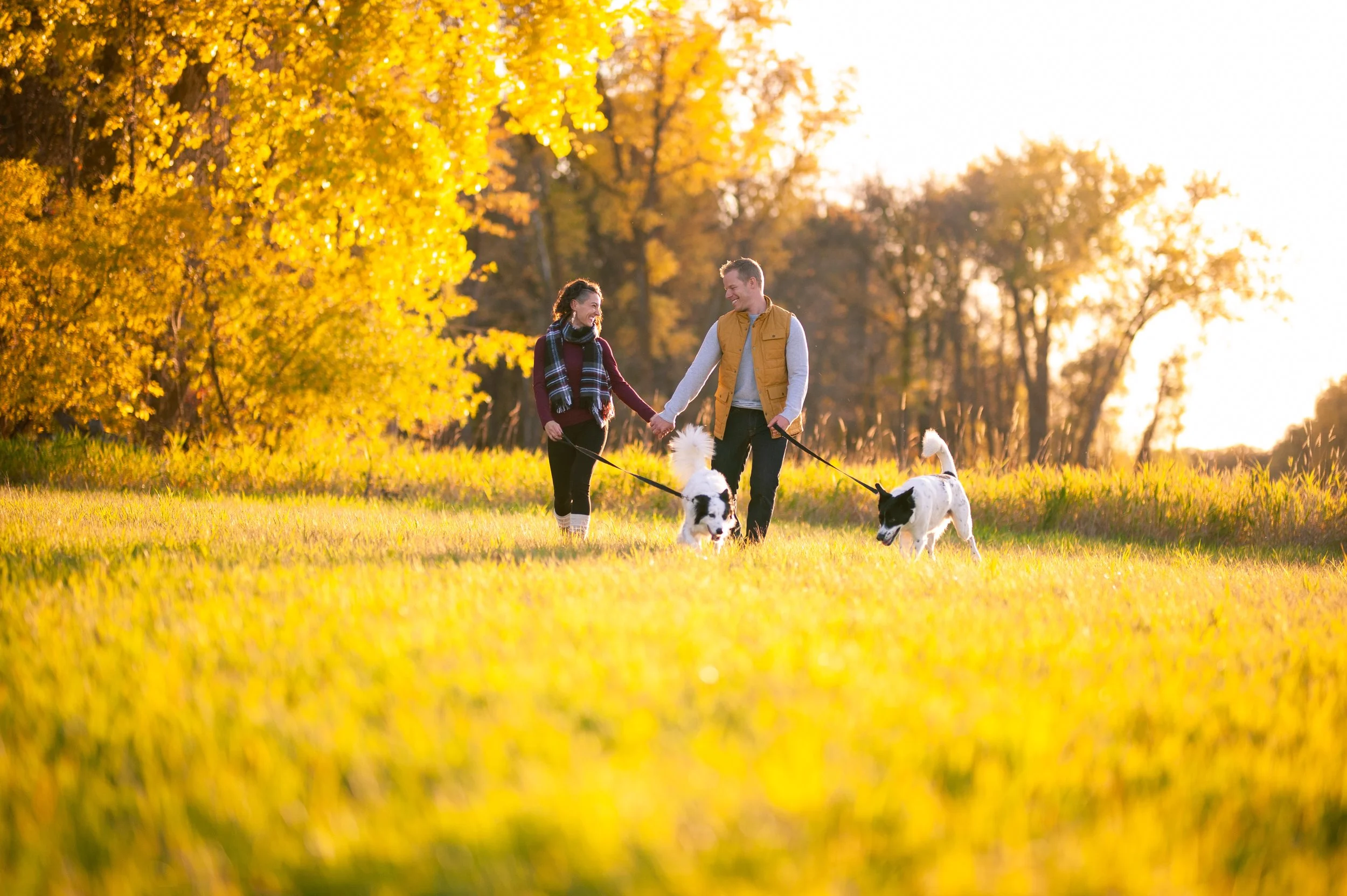 A couple walking their dogs in a field during autumn with trees in the background.