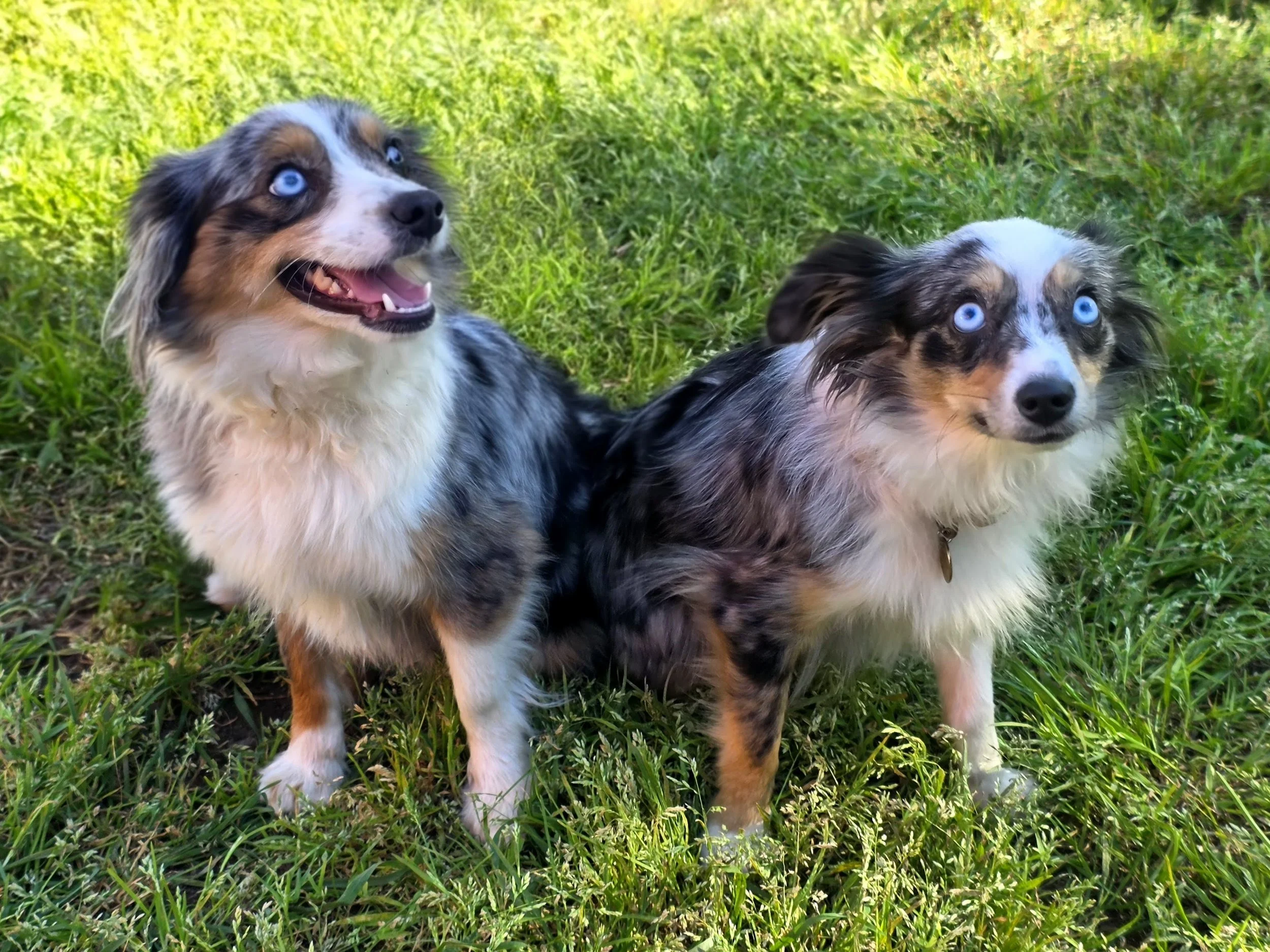 20260308_162152(1).jpg