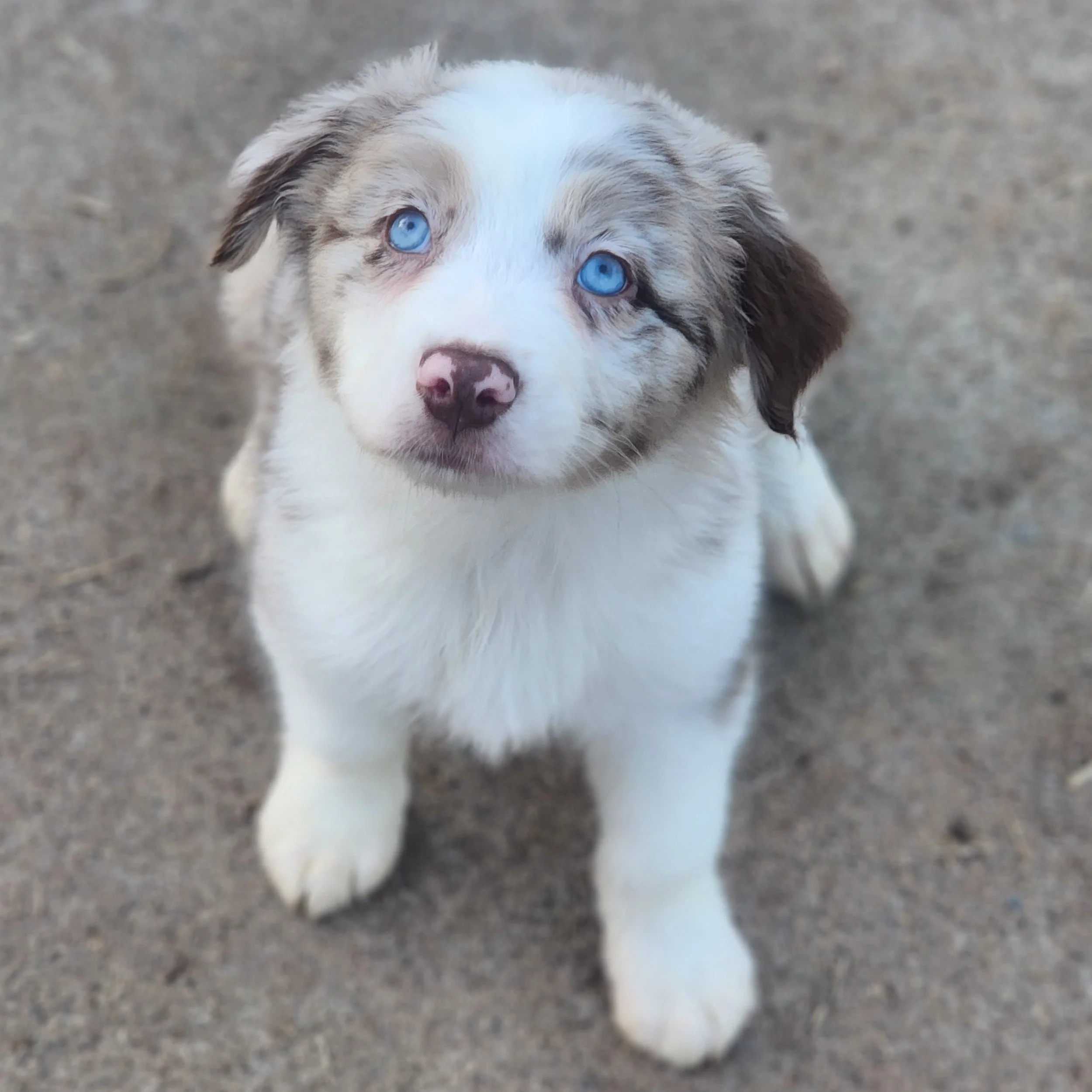 Couldn't be any brighter (Ramsey)