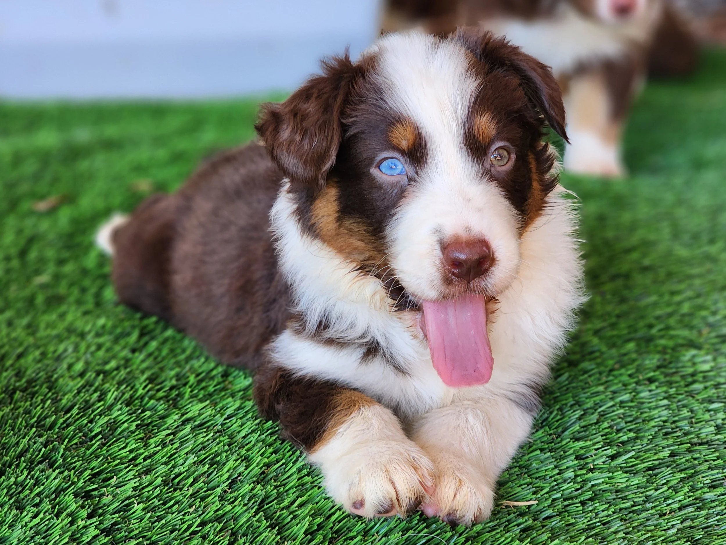 Another biiiiig yawn! (Mae)