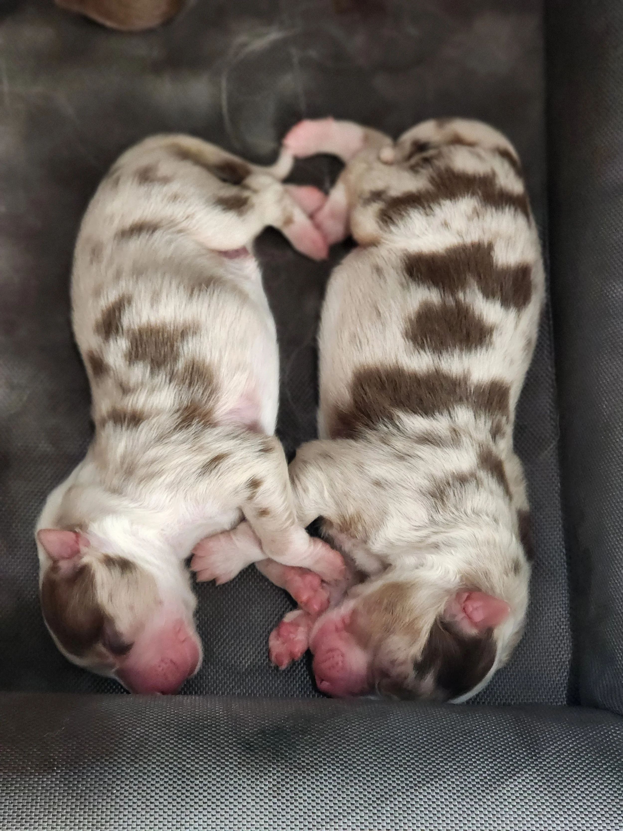 Too perfect (Iroh & Ozai)