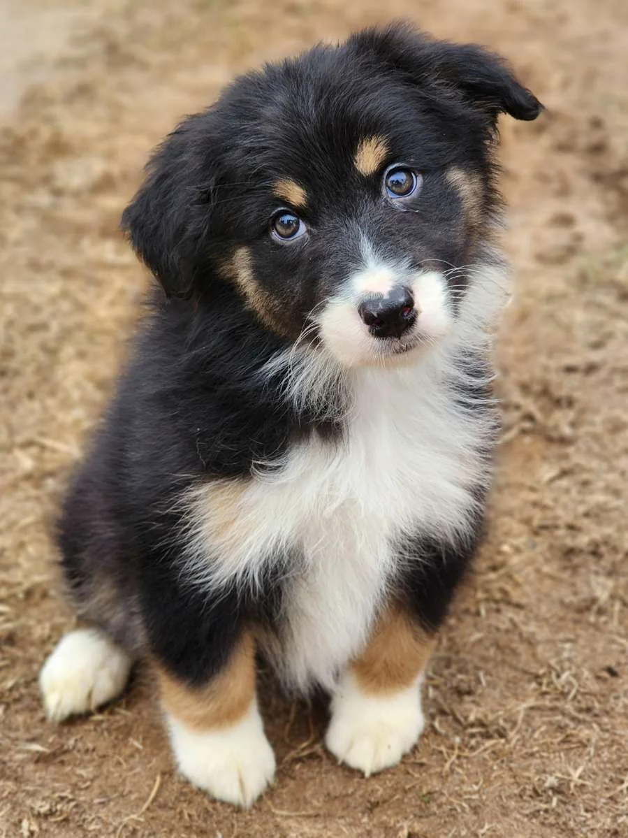 You can have anything you want. (Ida)