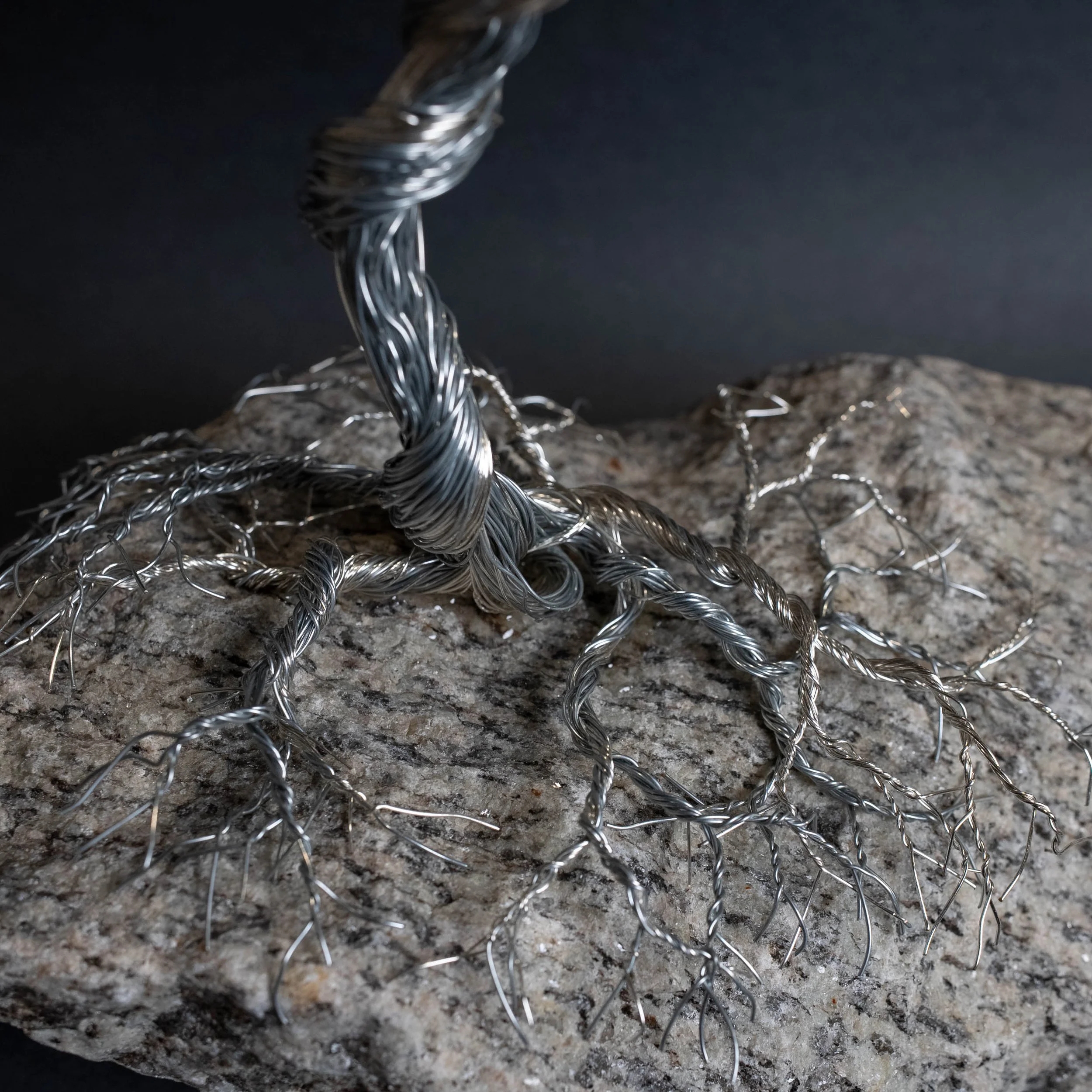 Rotem Roots (Black).jpg