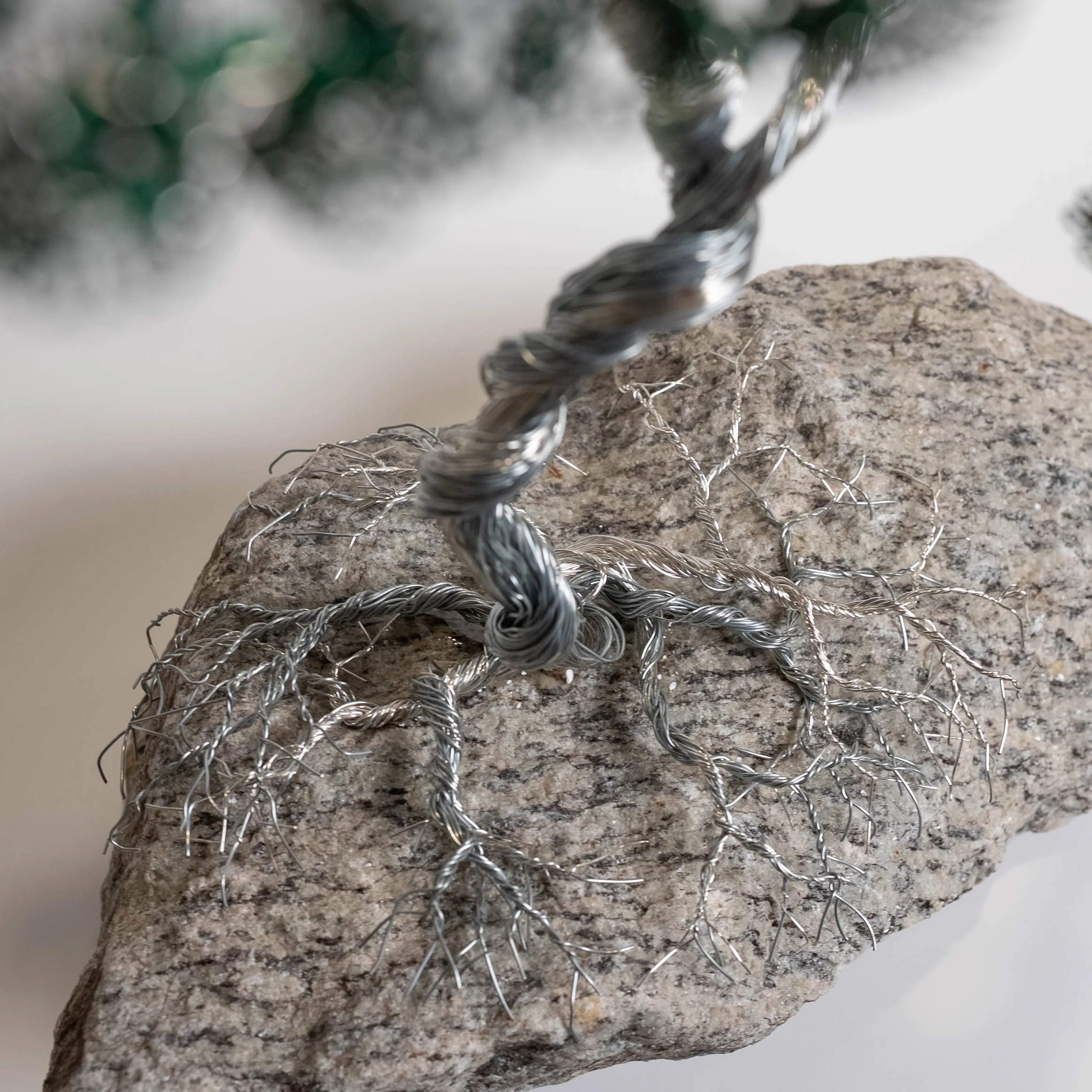 Rotem Roots (White).jpg