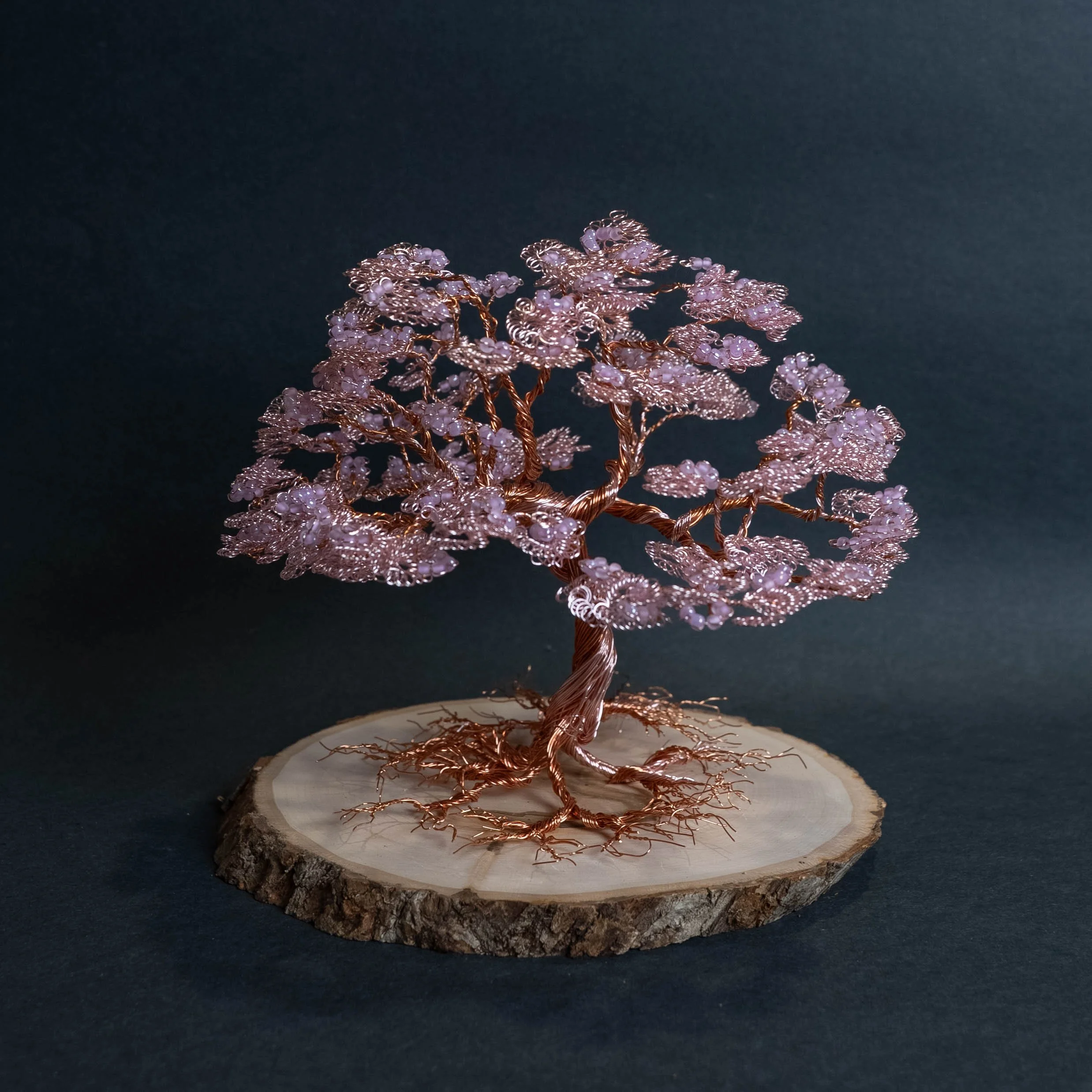 NEW ARRIVAL TREEs