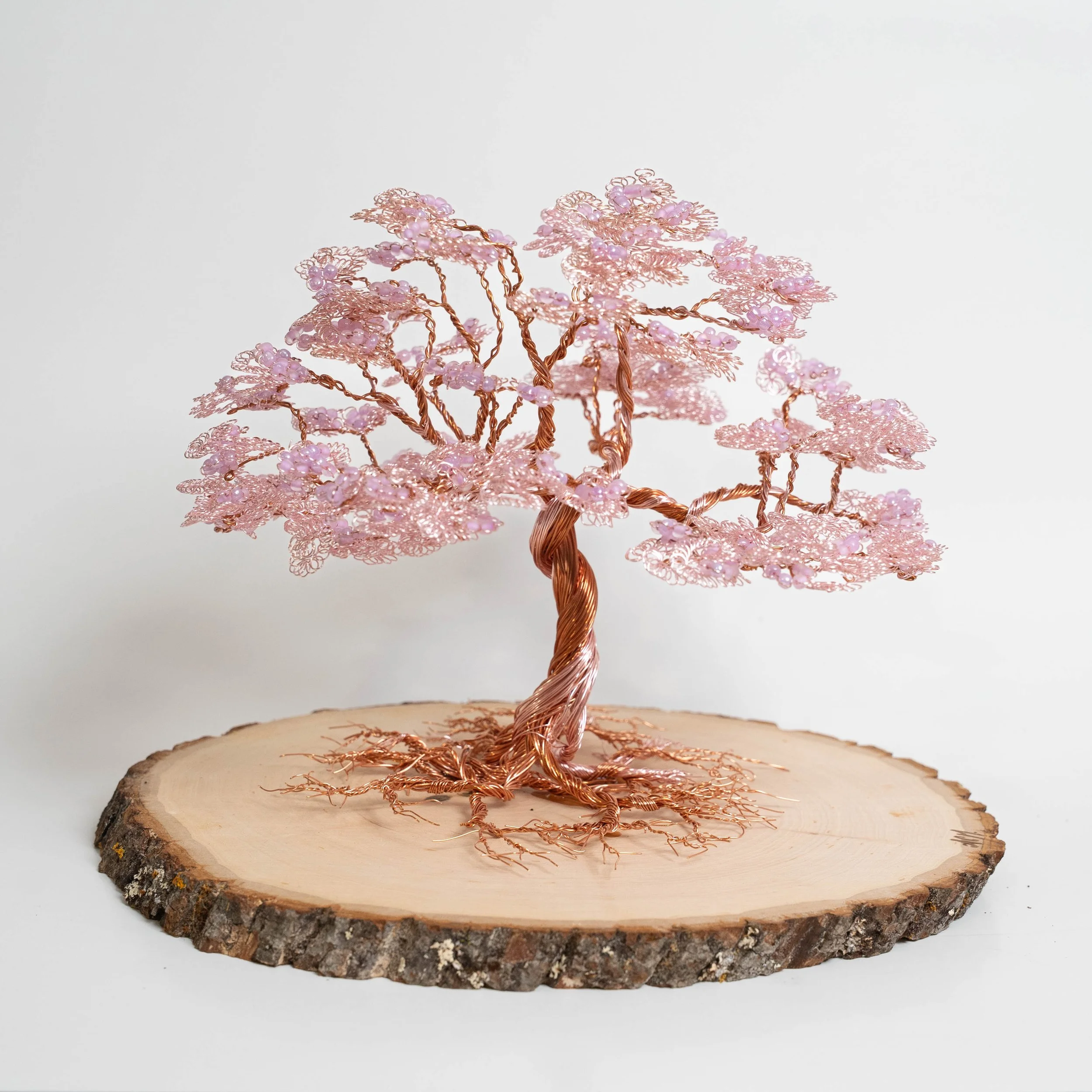 New Arrival Pink (Straight).JPG