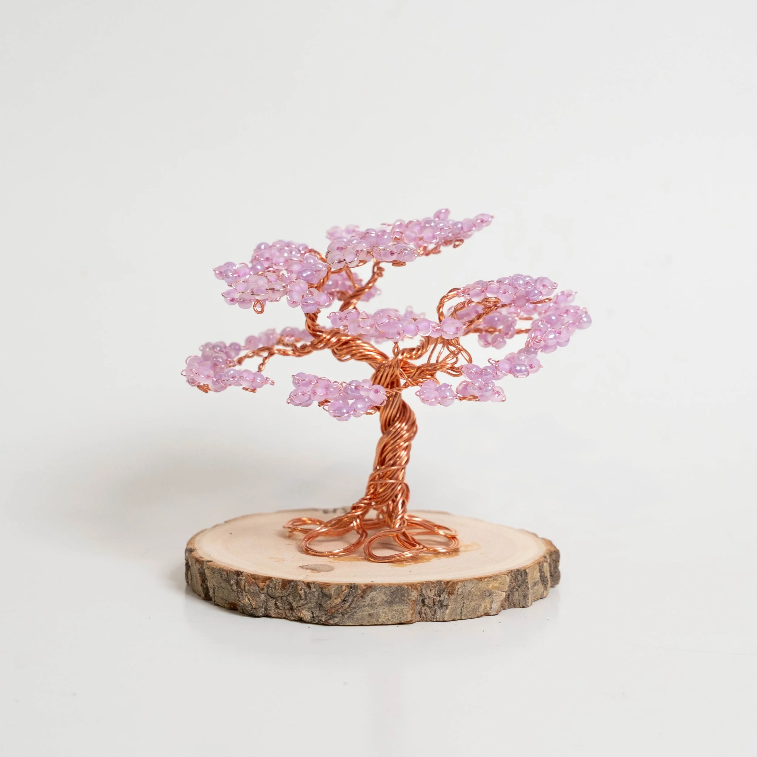 New Arrival Pink Mini.JPG
