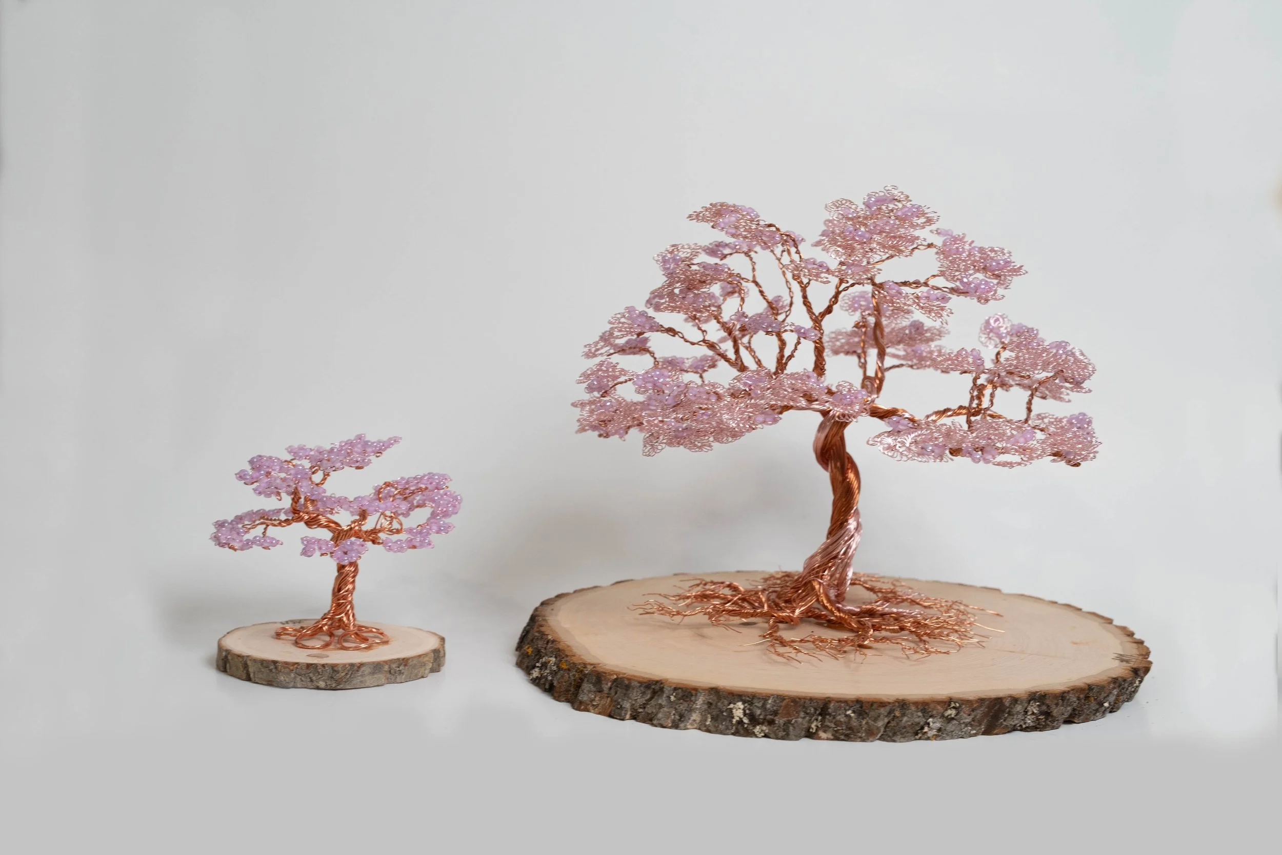 New Arrival Pink Side by Side.JPG