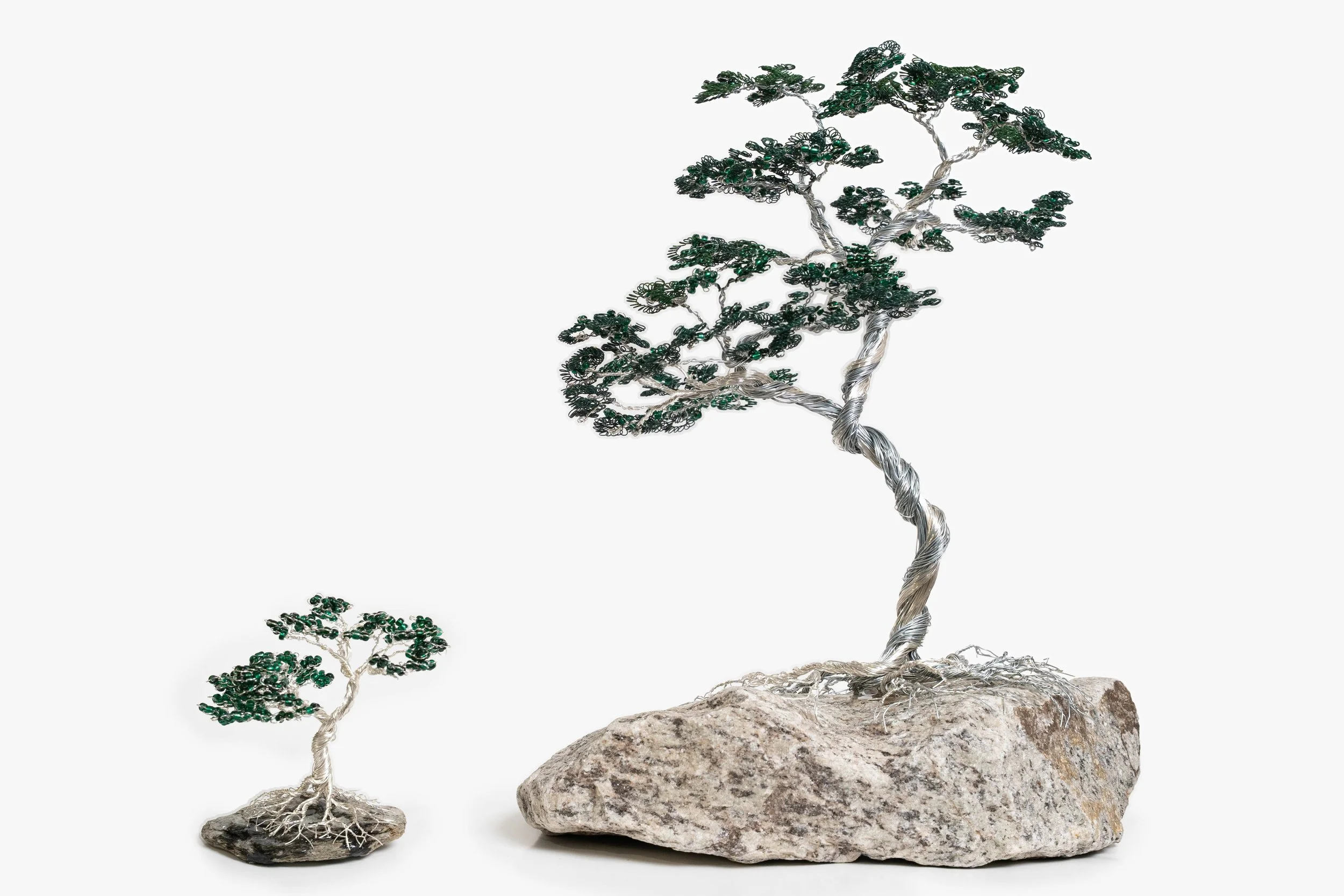 Juniper Side by Side.JPG