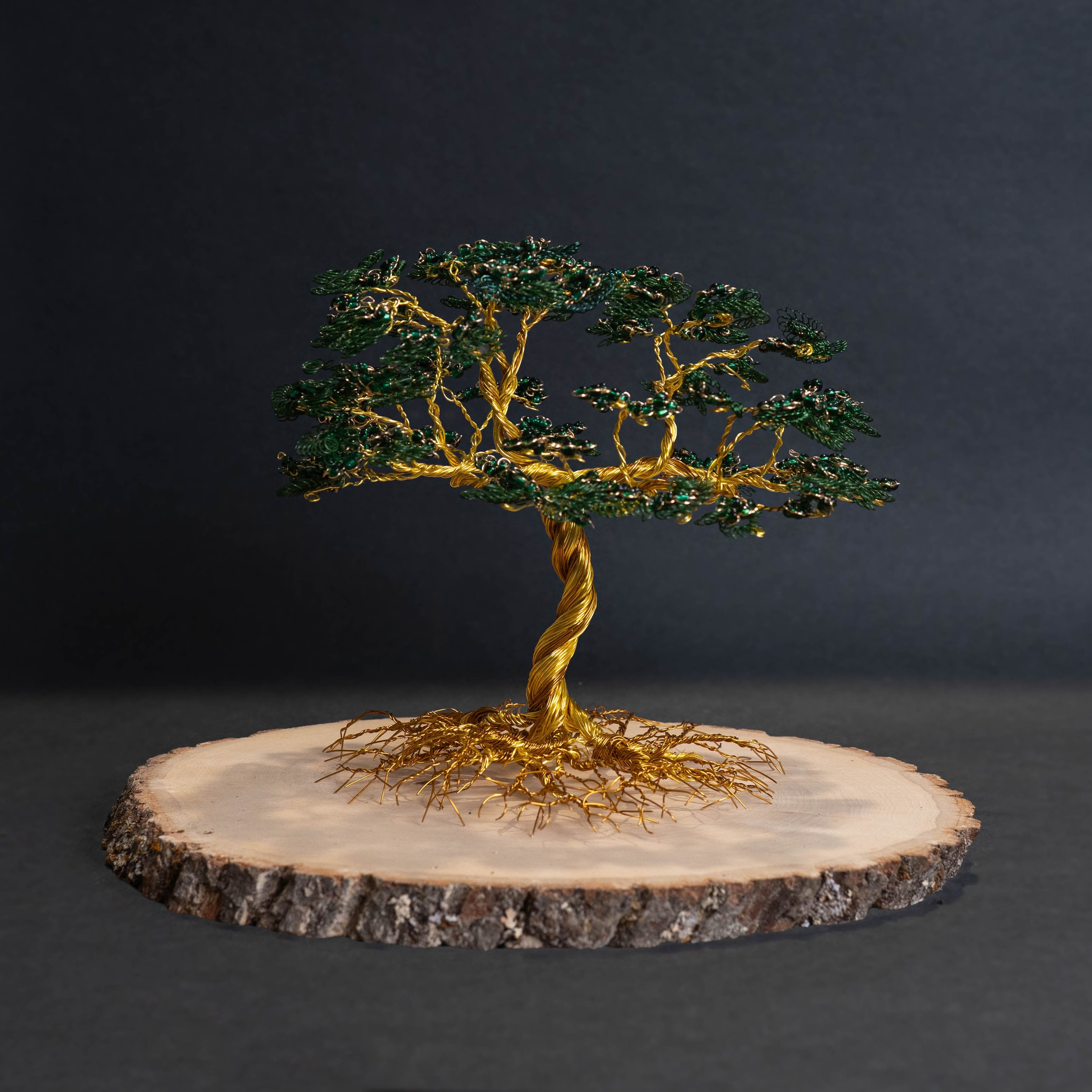 Tree of Life (Black).jpg