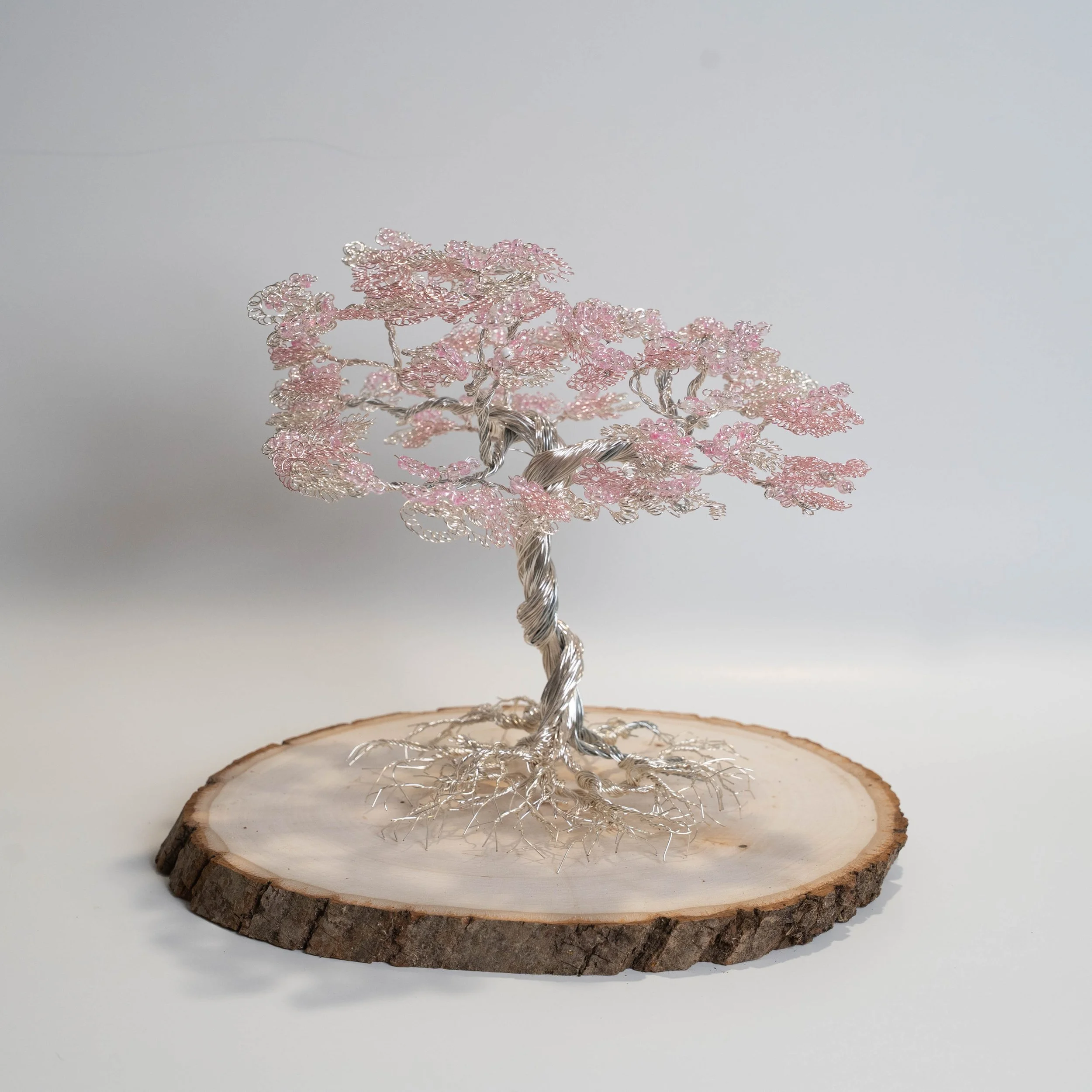 Proverbs 31 (White).jpg