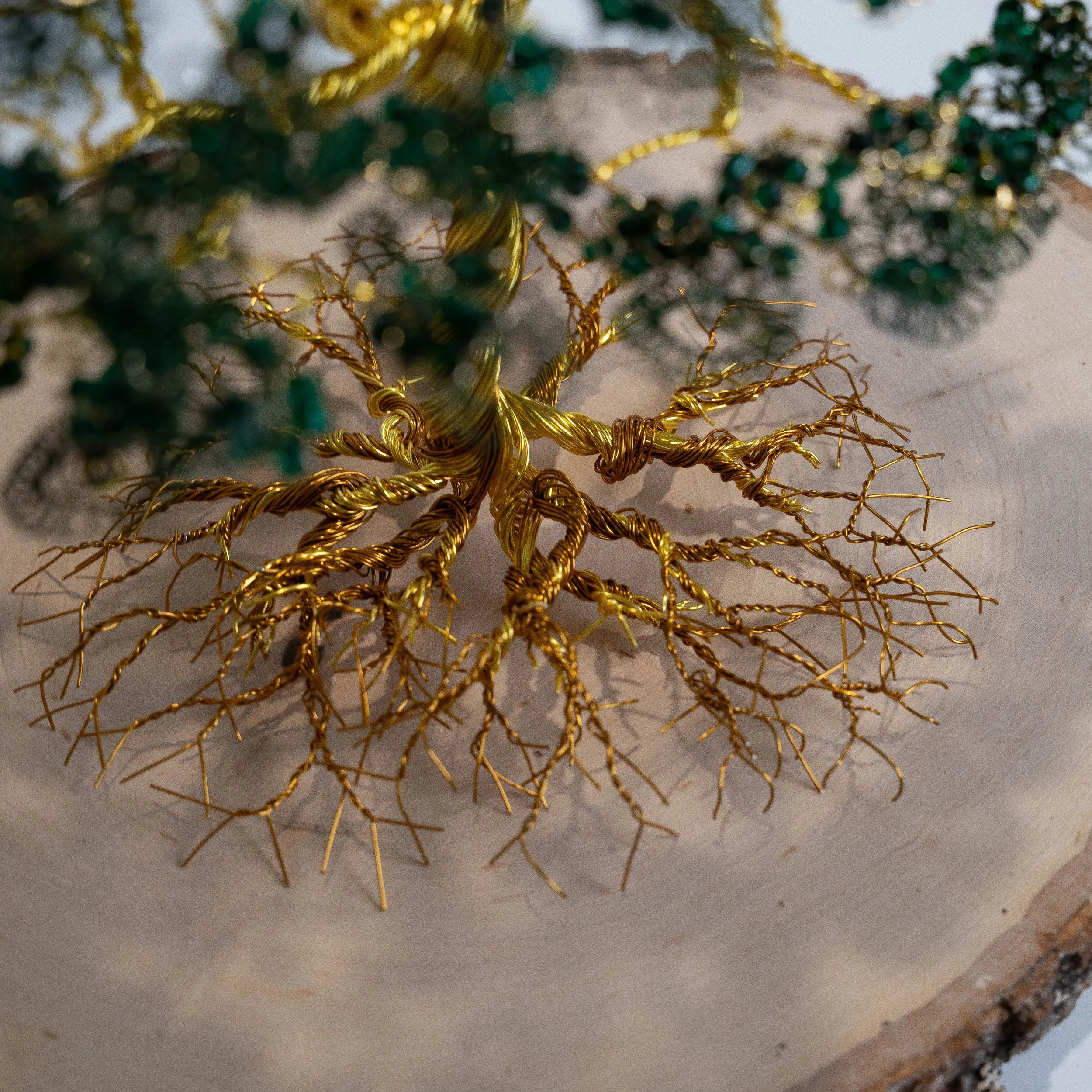 Tree of Life Roots (White).jpg