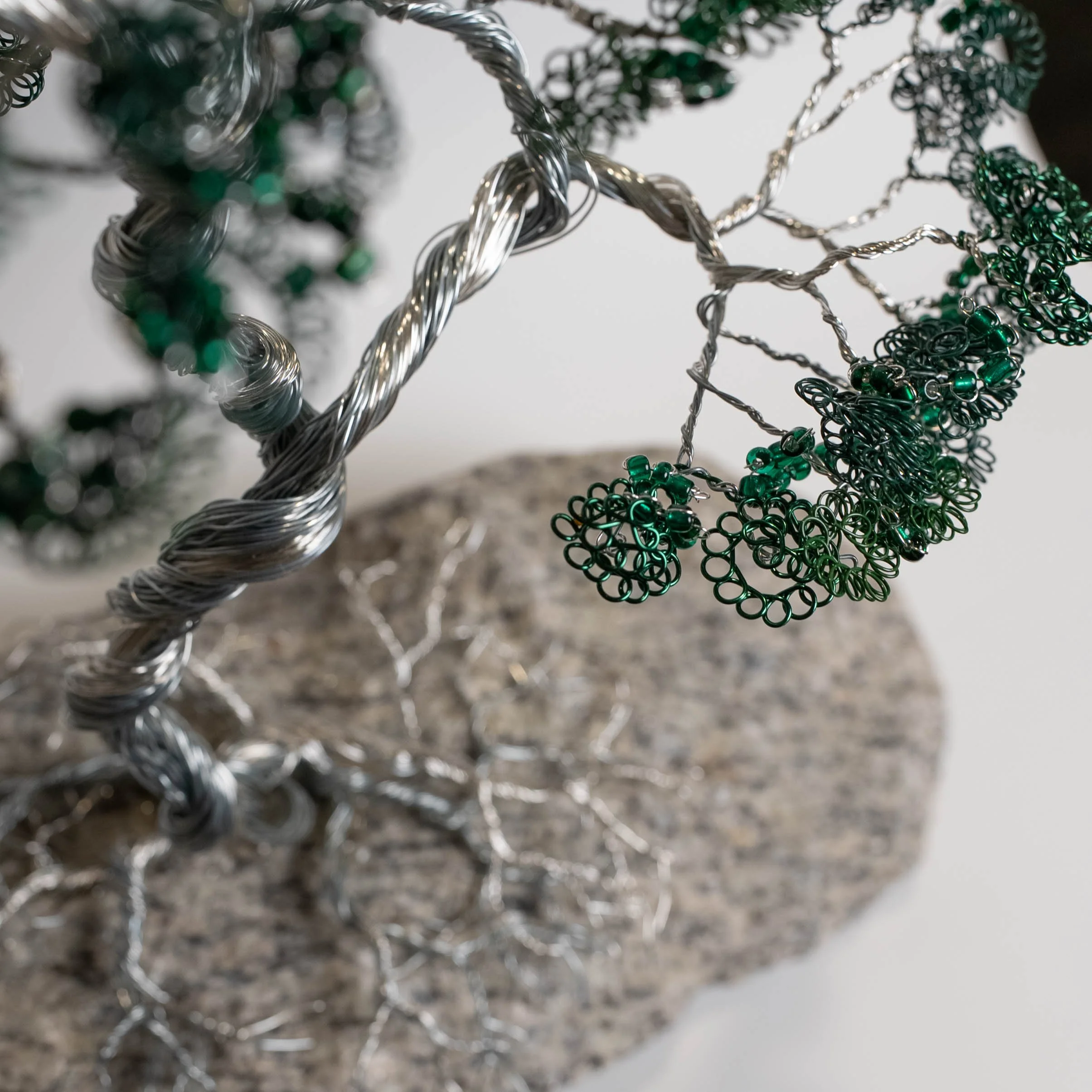 Juniper Tree — arboletz