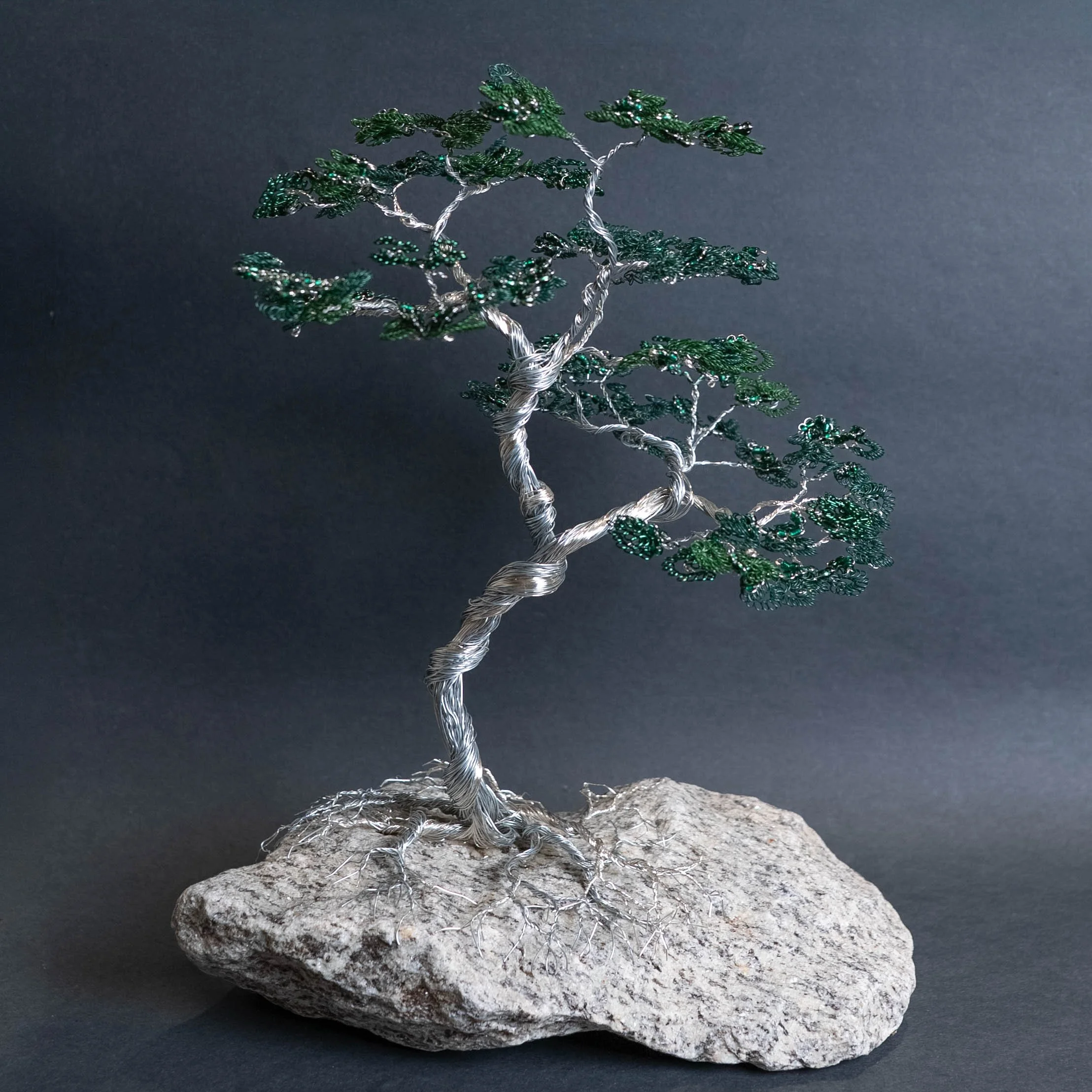 Juniper Tree — arboletz