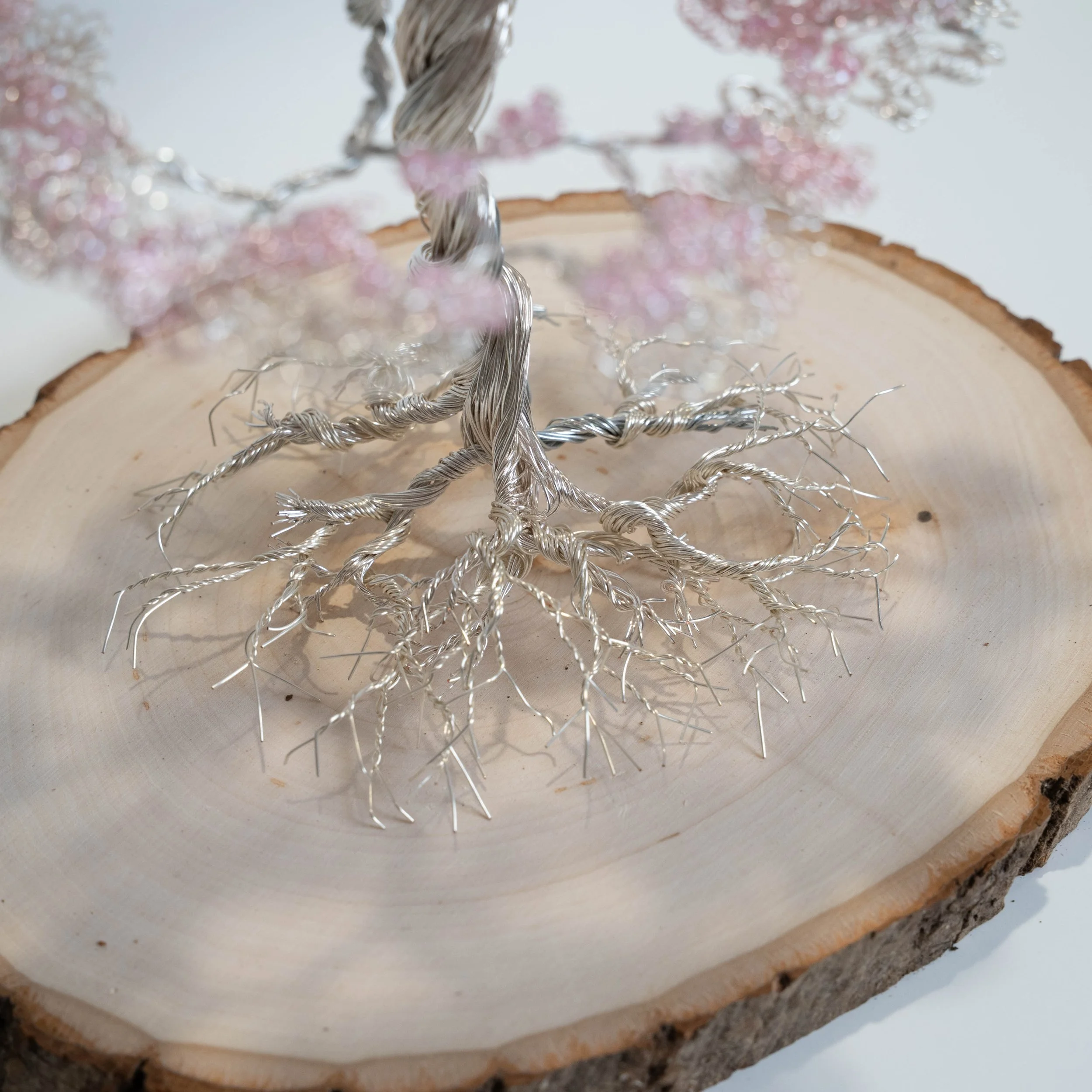 Proverbs 31 Roots(White).jpg