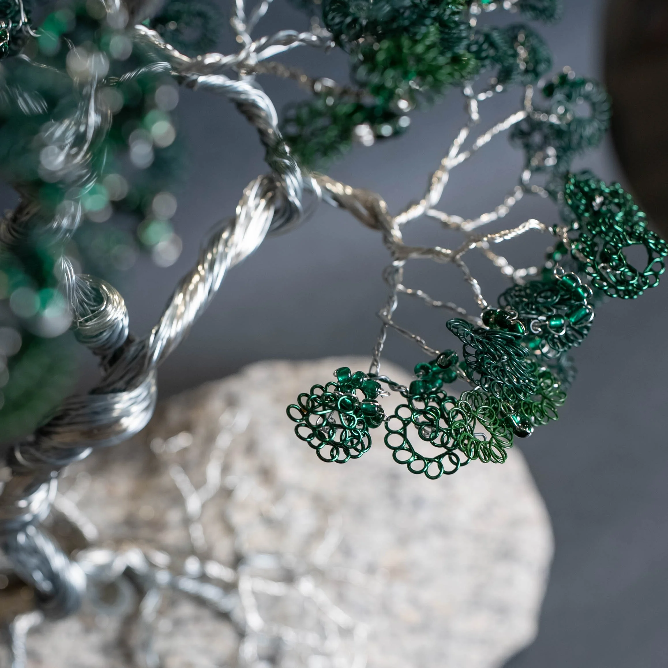 Juniper Tree — arboletz