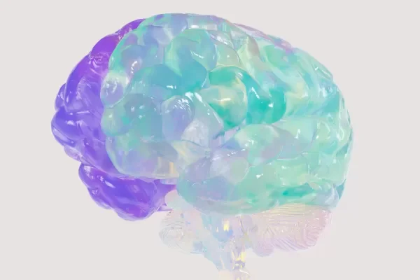 A colorful, semi-transparent model of a human brain with an iridescent appearance, showing different regions with shades of purple, blue, green, and teal.