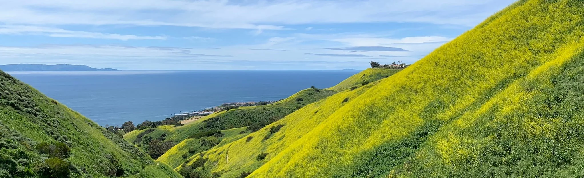Touching Grass - Hike #003