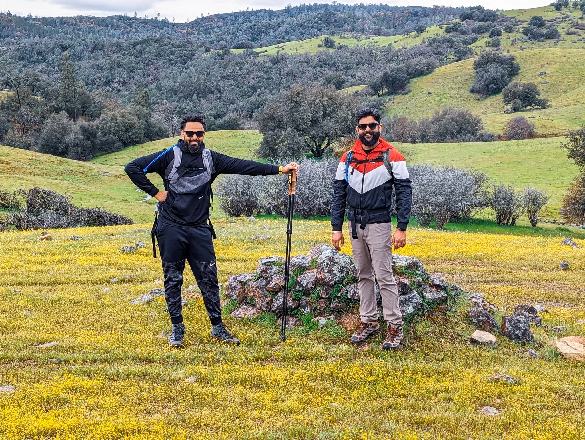 Escaping the Grey: A Journey to the Sun at Cronan Ranch