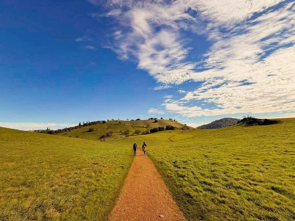 East Ridge hiking trail at Cronan Ranch near Auburn, CA, showcasing spring green landscape and sunny weather