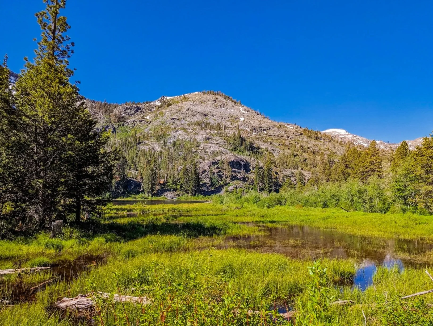 Nature is not a place to visit. It is home. Starting the trek to Lake Aloha. 🥾