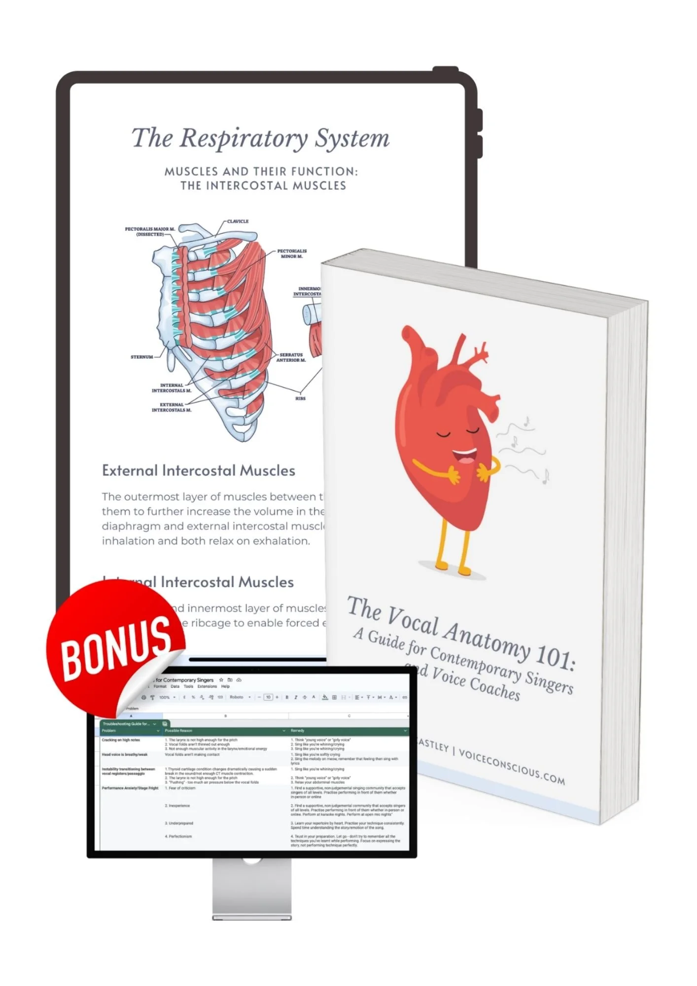 The Vocal Anatomy 101: A Guide for Contemporary Singers and Voice Coaches
