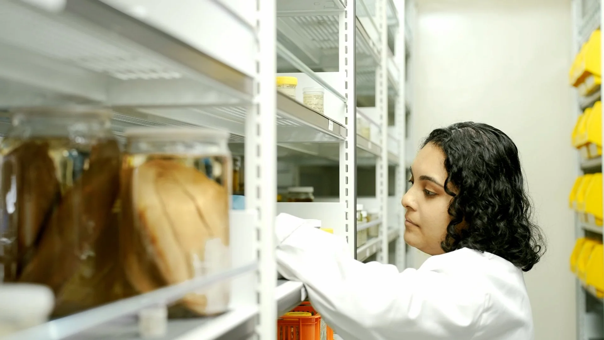 LKCNHM 10th Anniversary_Assembly_V1.00_05_48_13.Still051.jpg