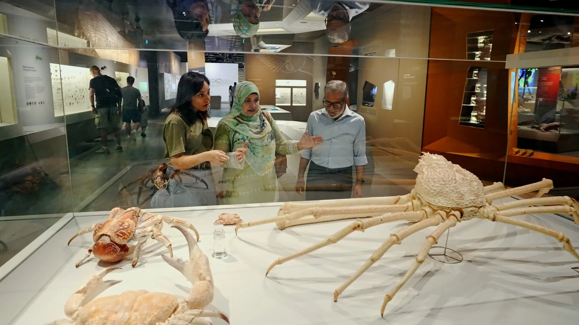 LKCNHM 10th Anniversary_Assembly_V1.00_09_24_10.Still055.jpg