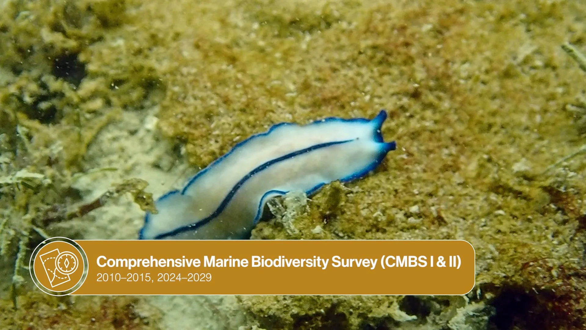 LKCNHM 10th Anniversary_Assembly_V1.00_03_19_12.Still046.jpg