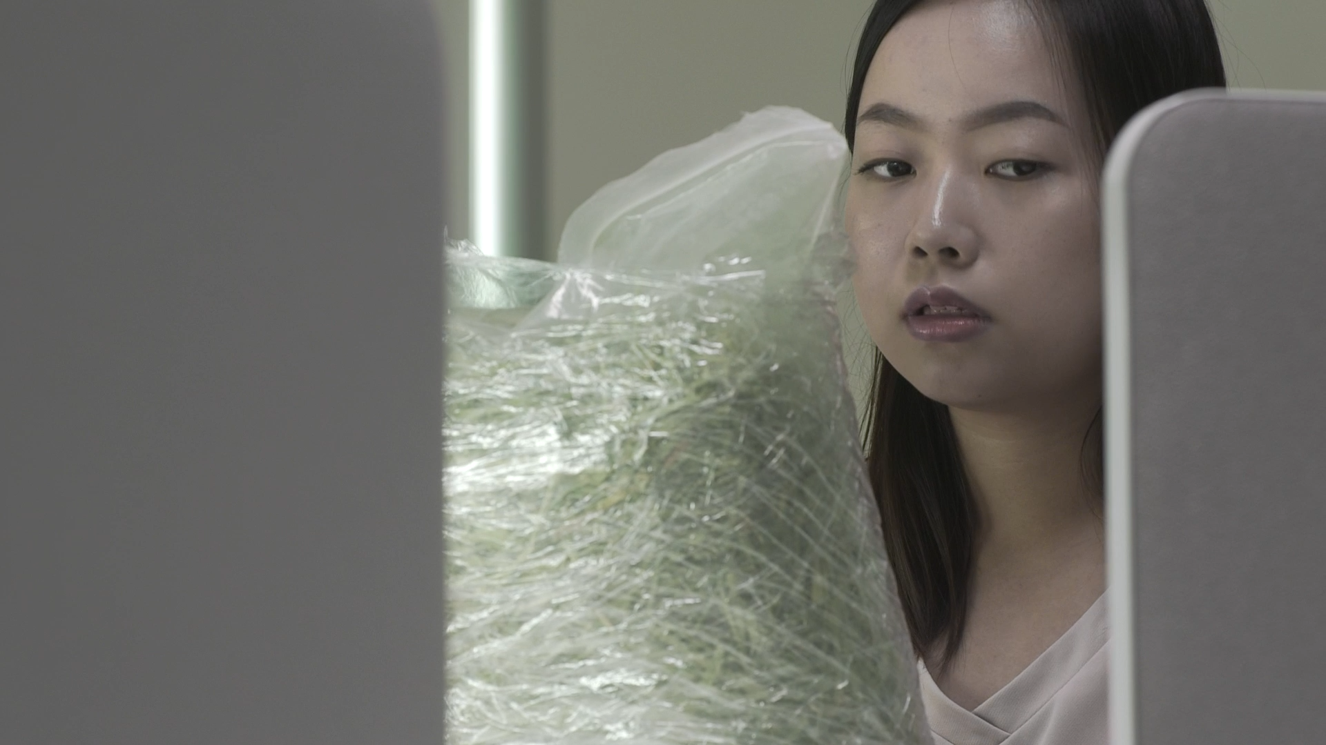 HOBBY HORSE STILL 002.png