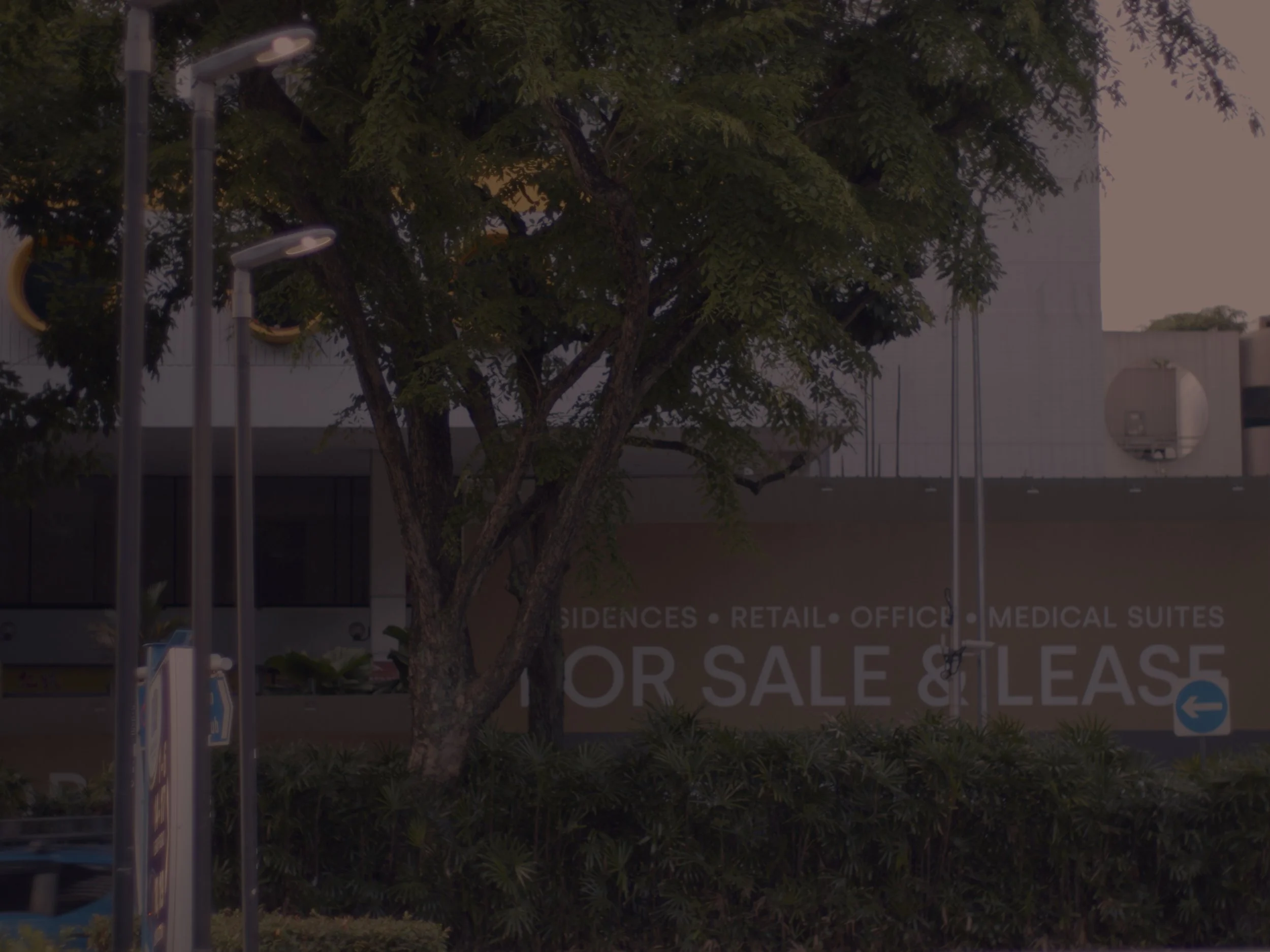 Still 2025-03-26 201948_1.9.1.jpg