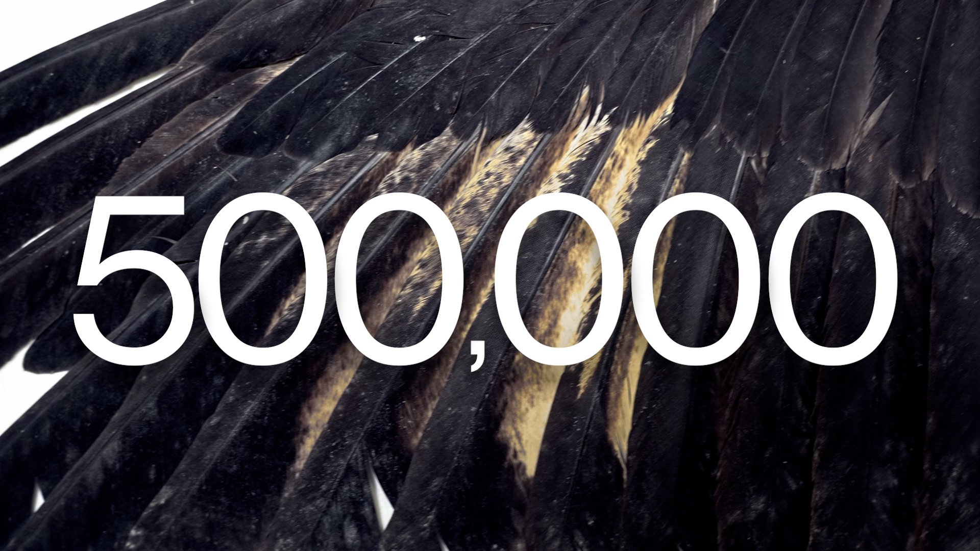 LKCNHM 10th Anniversary_Assembly_V1.00_03_26_01.Still047.jpg