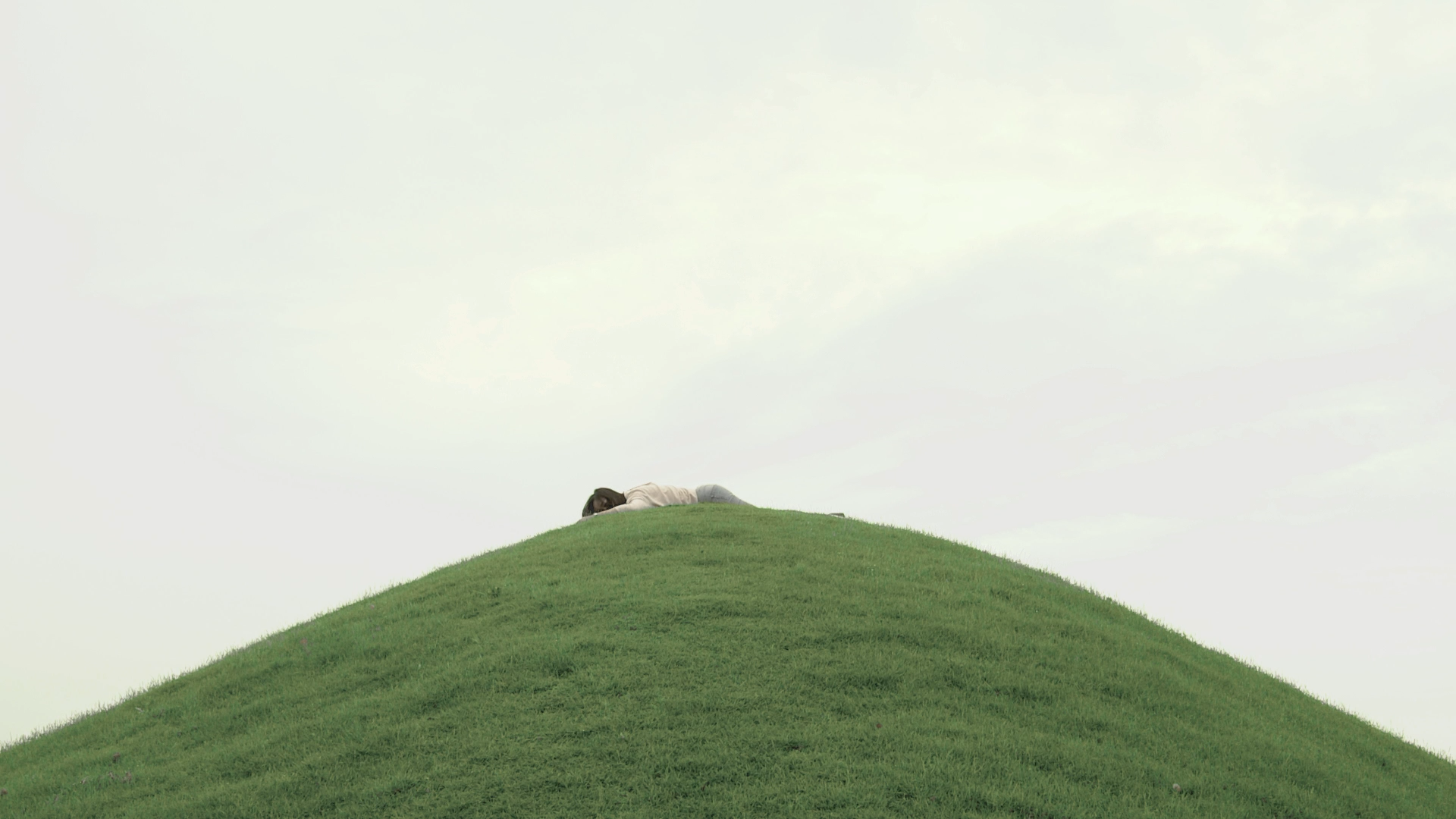 HOBBY HORSE STILL 007.png