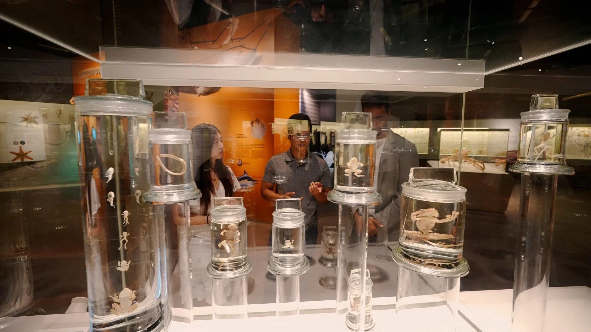 LKCNHM 10th Anniversary_Assembly_V1.00_05_38_02.Still049.jpg