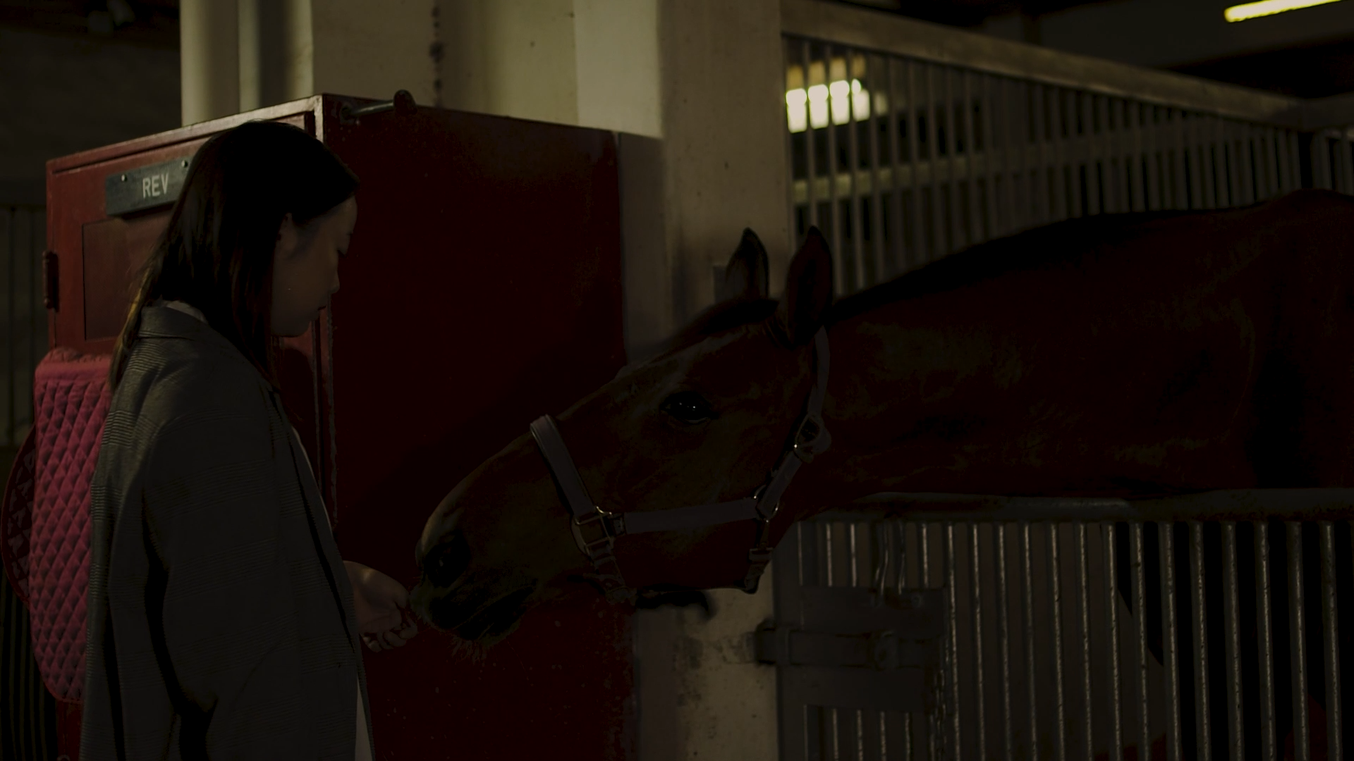 HOBBY HORSE STILL 006.png