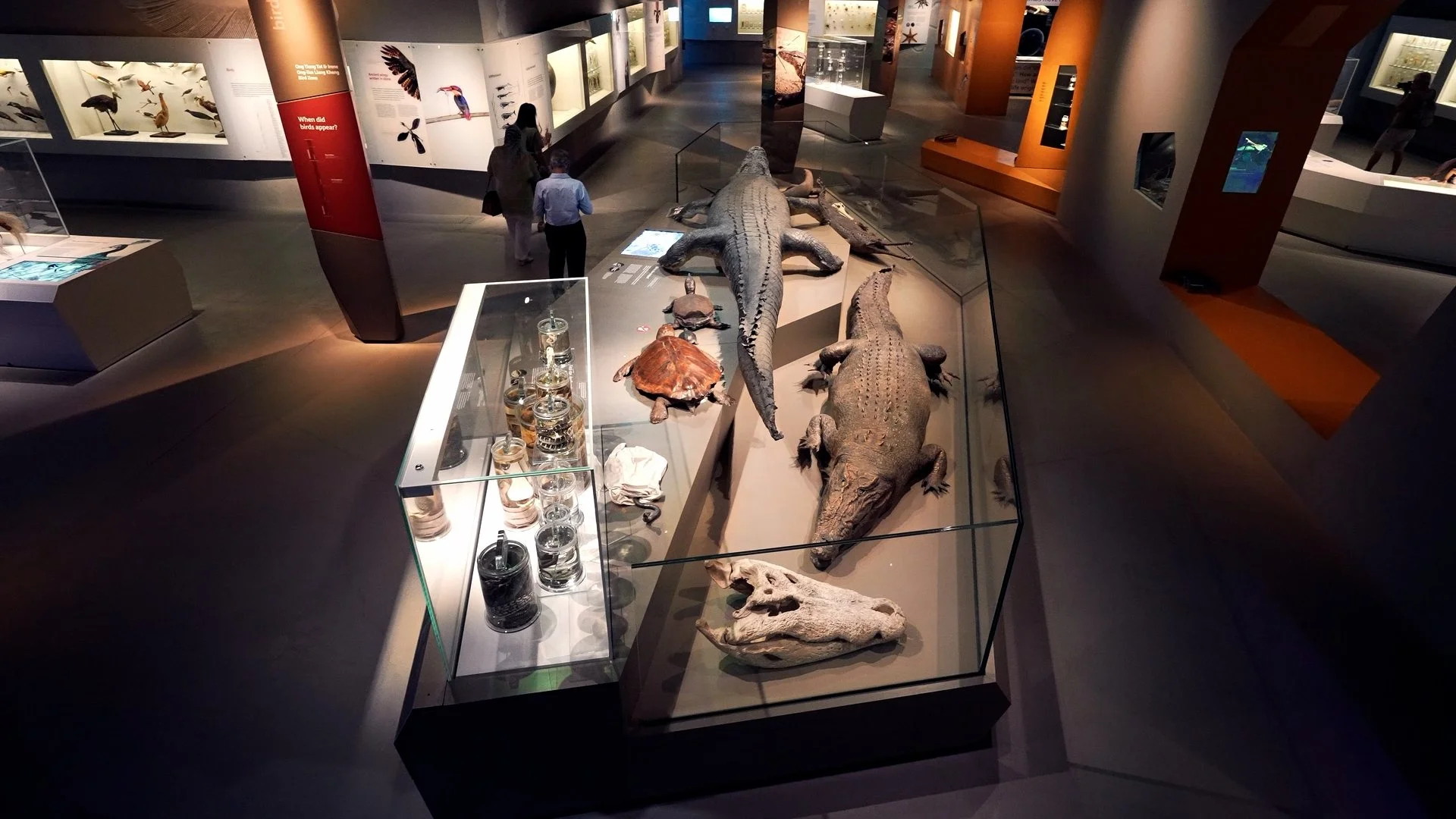 LKCNHM 10th Anniversary_Assembly_V1.00_03_01_20.Still044.jpg