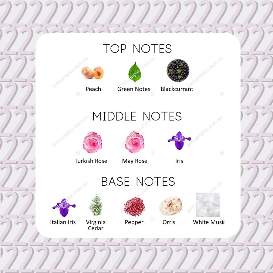 Graphic showing top, heart and base notes for Sśaint Velvet Bloom