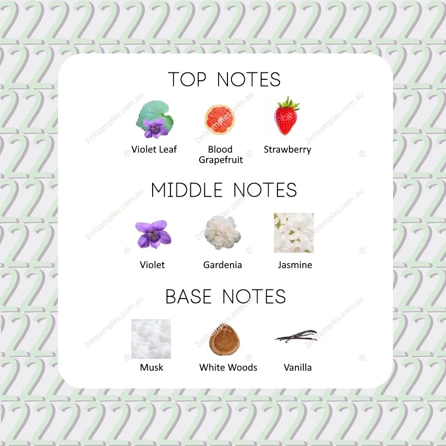 Graphic showing top, heart and base notes for Marc Jacobs Daisy