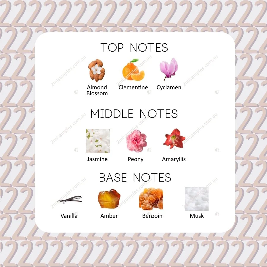 Graphic showing top, heart and base notes for Yves Saint Laurent Cinema