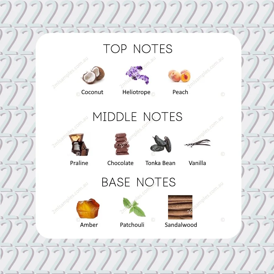 Graphic showing top, heart and base notes for Le Petit Chocolatier 2 - Praline