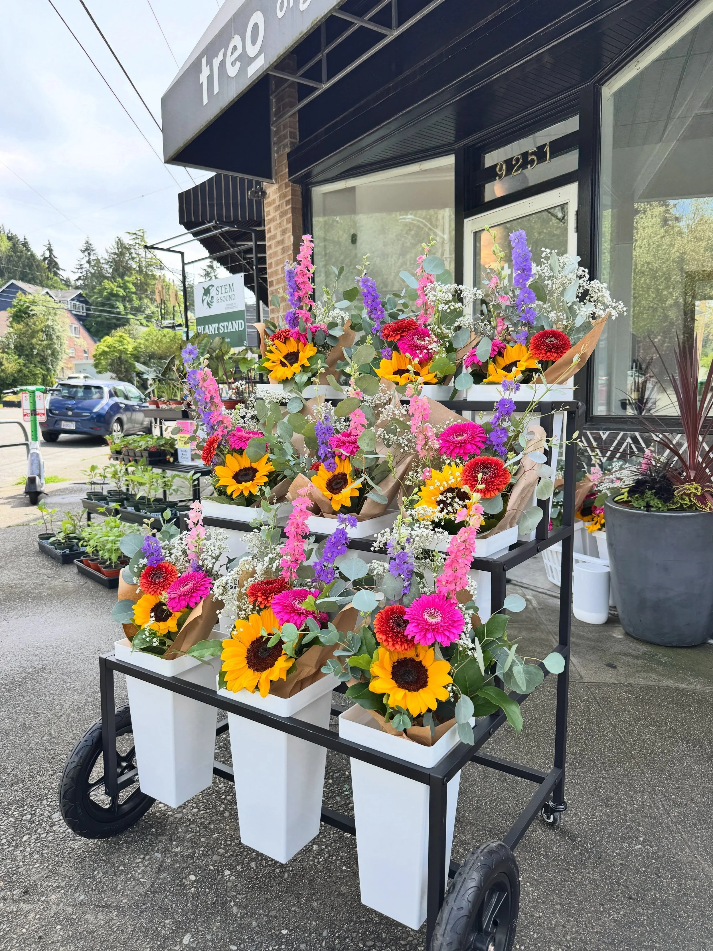 Wow! Our pop up was such a success! We loved getting to meet so many neighbors and plant people! Thank you all so much for supporting me and my small local business. This has been my dream since I can remember and I feel so much of your support. Than