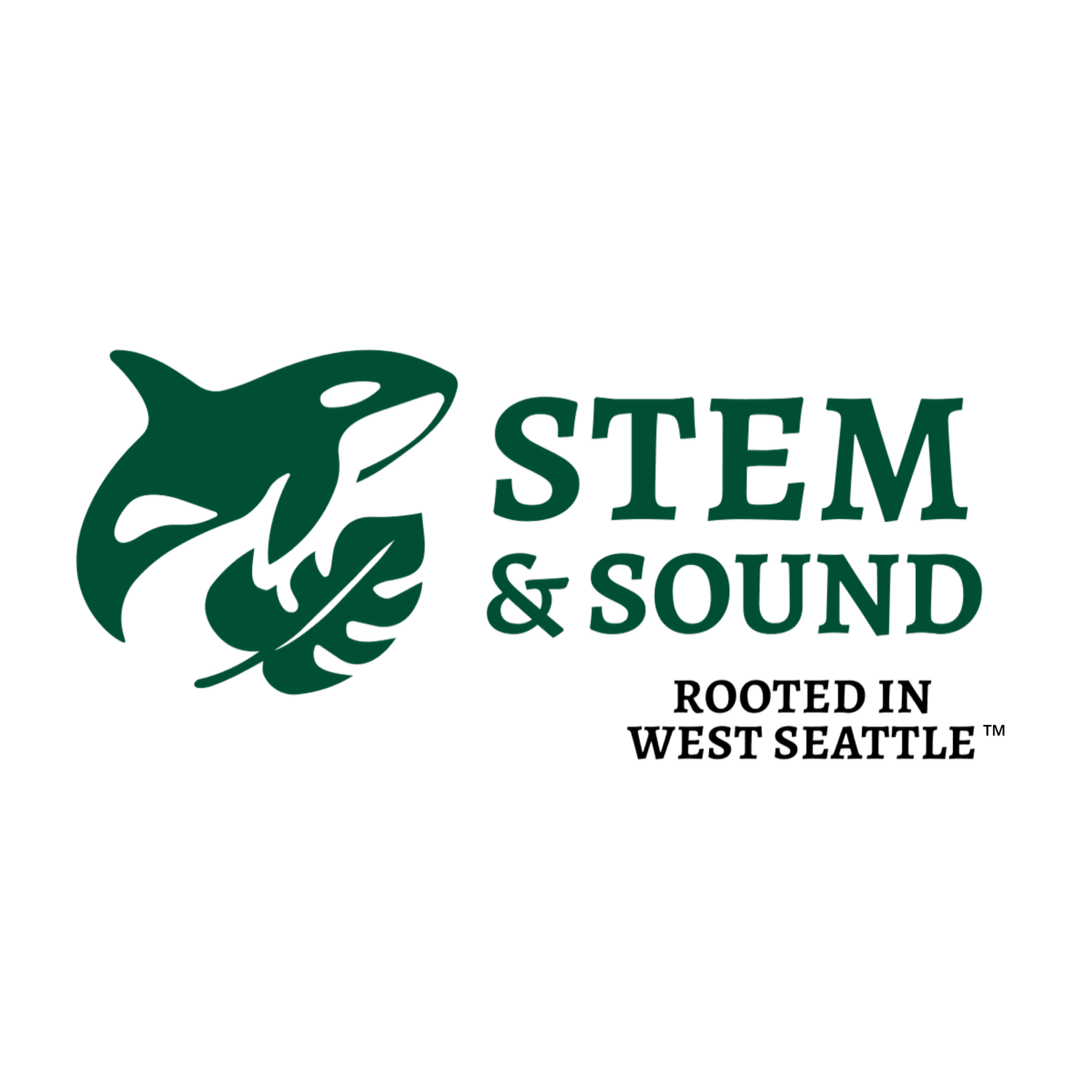 Stem and Sound